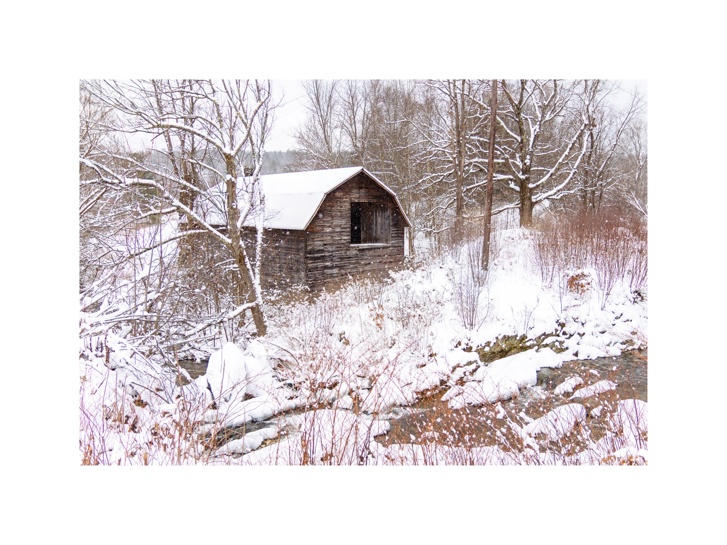 IMGG6740 18X24 2.625 CAT-L.jpg