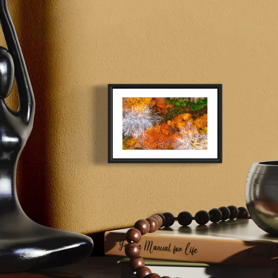 DJI241021_10 4X6 0.5 0.56 FRAME.JPG