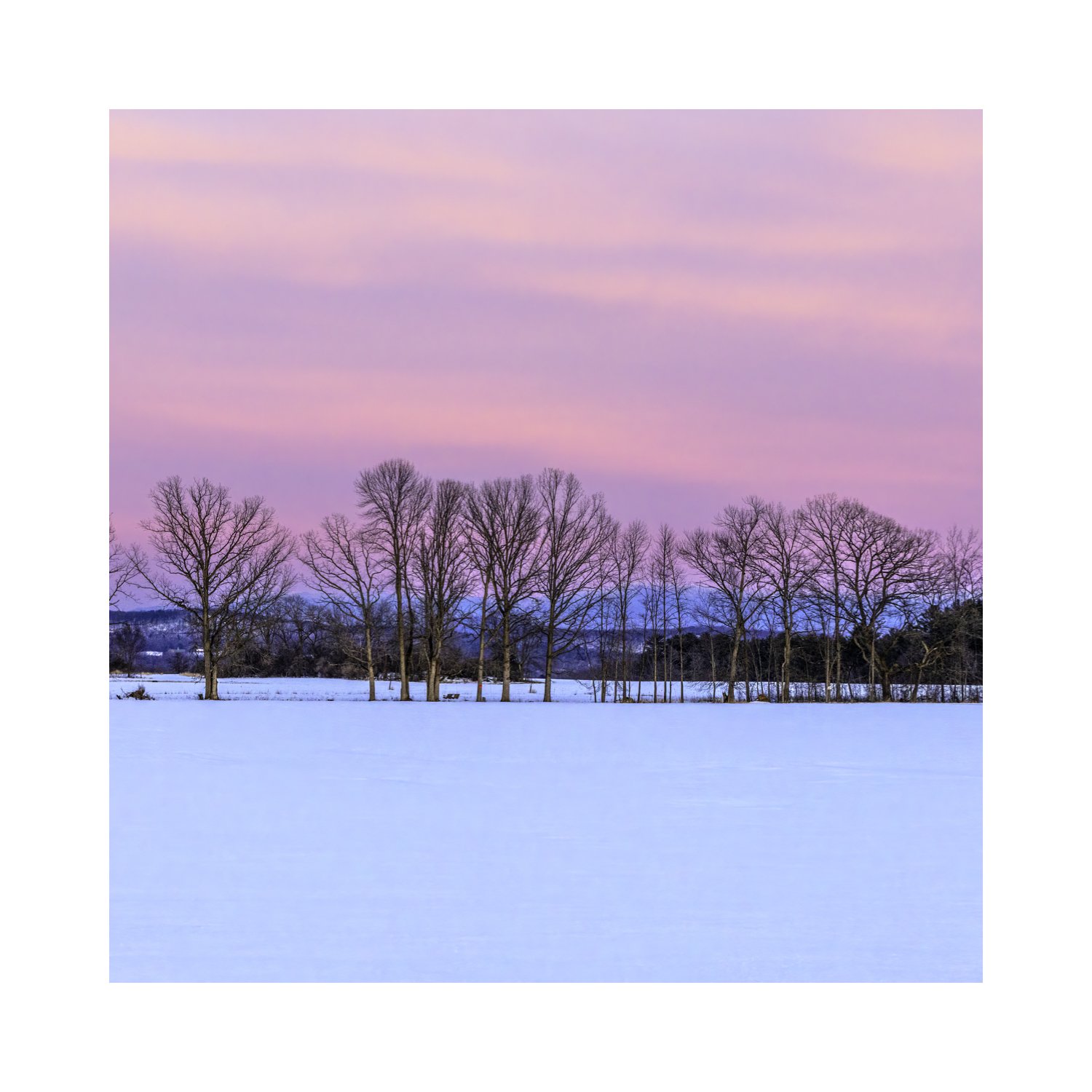 IMGA5300 5x5 0.5 CAT.jpg