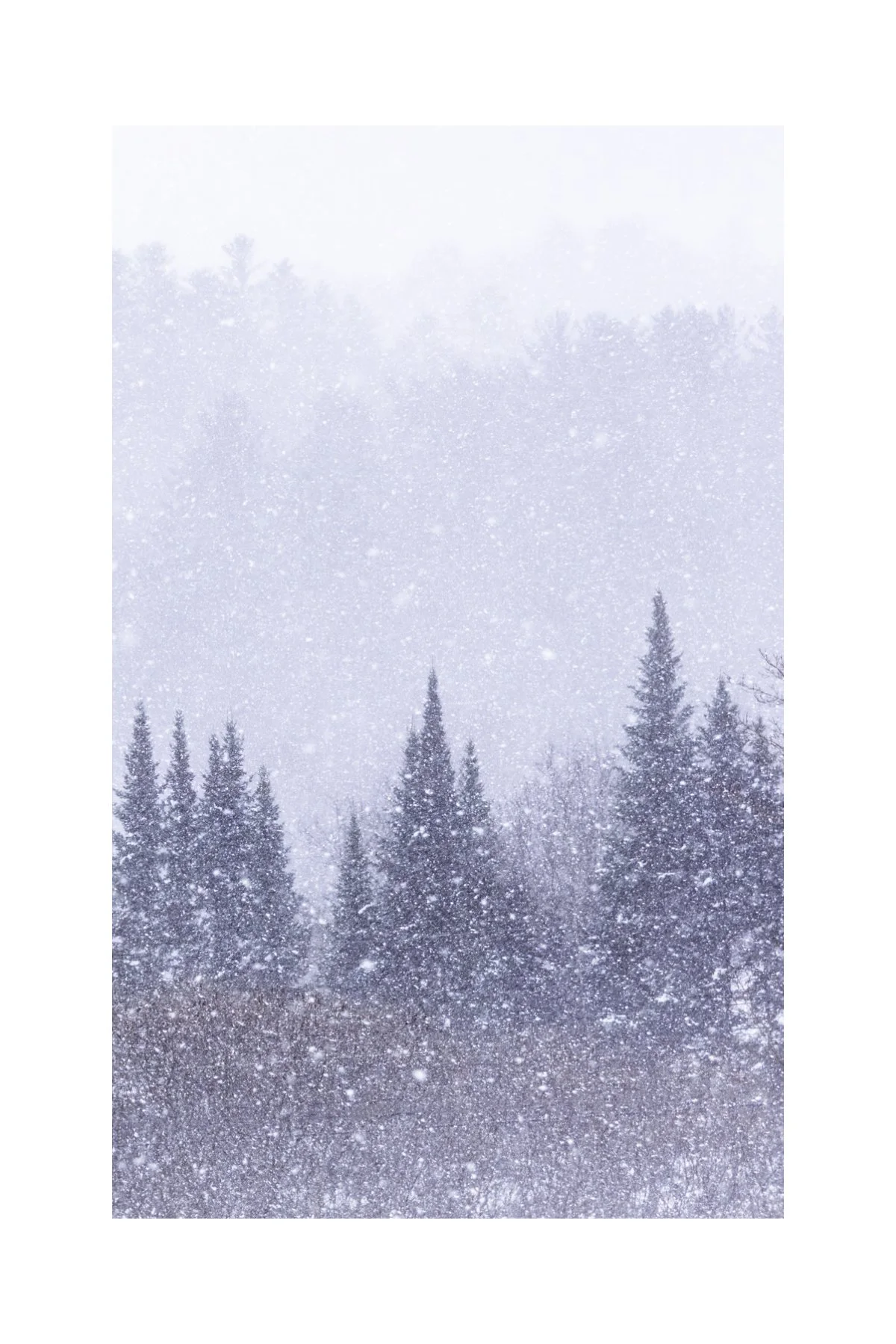 IMGA0204 E2 V B 4X6 0.5 0.56 CAT.jpg