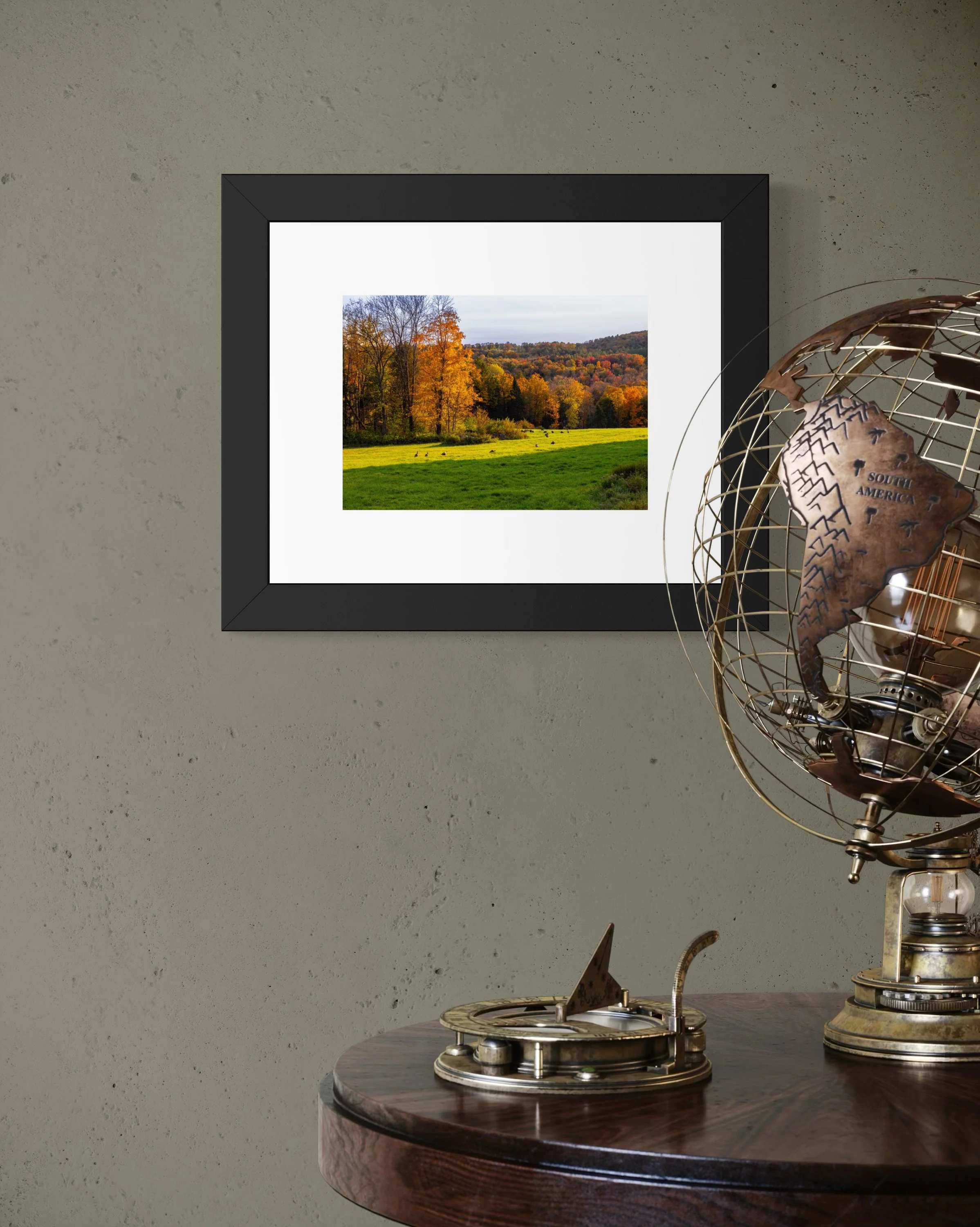 IMGC9021 8X10 1.625 FRAME.JPG