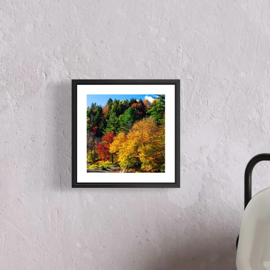 IMGC9966 A 5x5 0.5 FRAME.JPG