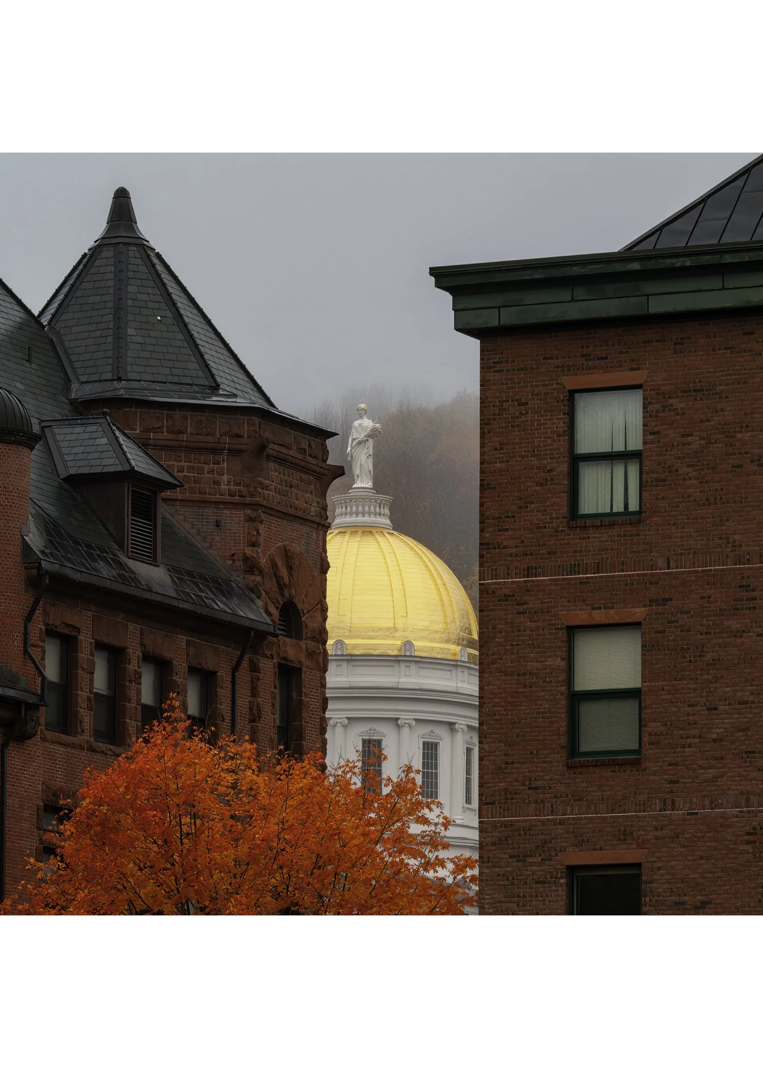 IMG_9637 NOTECARD CENTER BASE 7x5 CAT.jpg