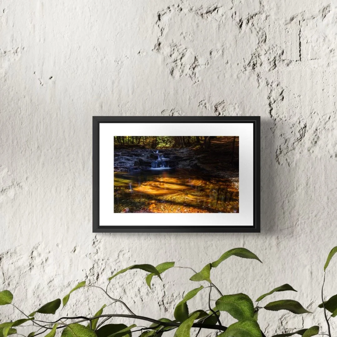 IMGC9901 4X6 0.5 0.56 FRAME.JPG