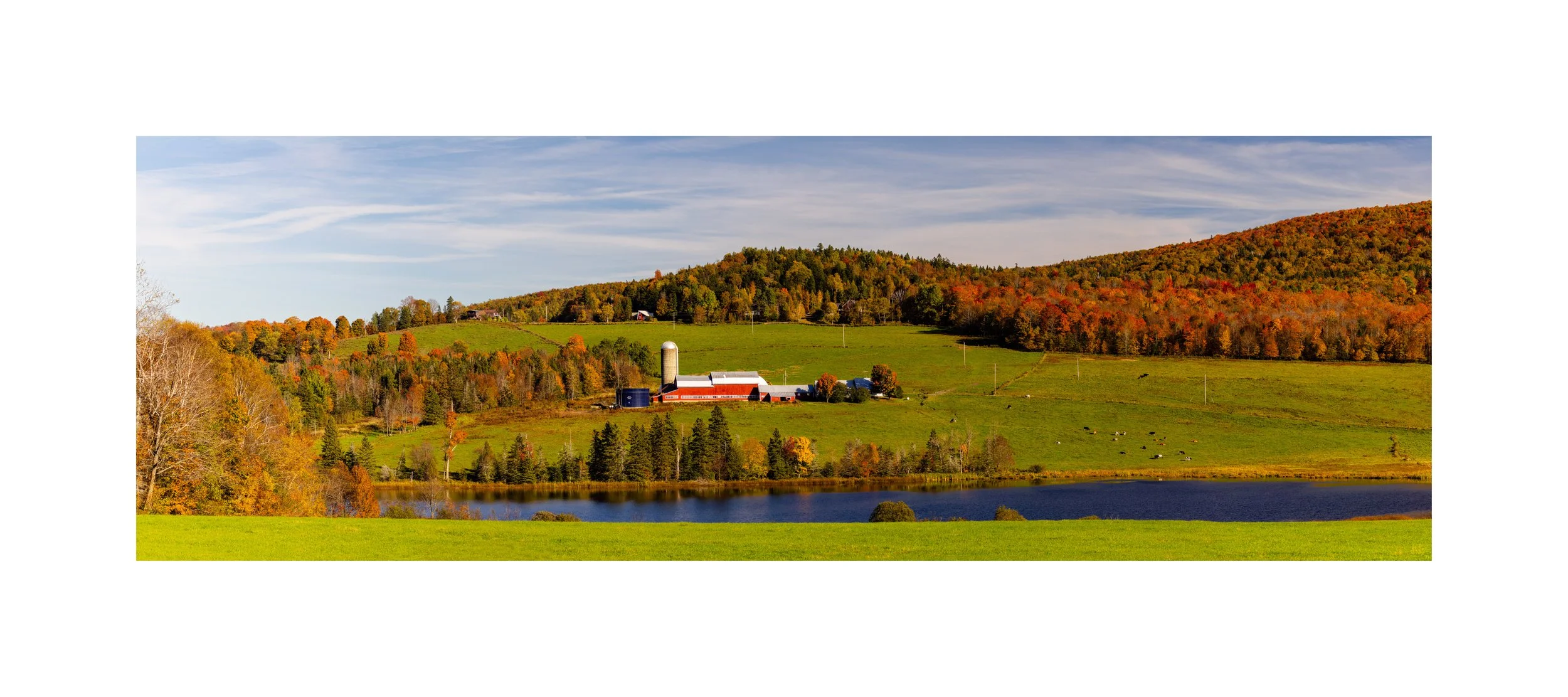 IMGC9641 16X36 3.125 CAT-L.jpg