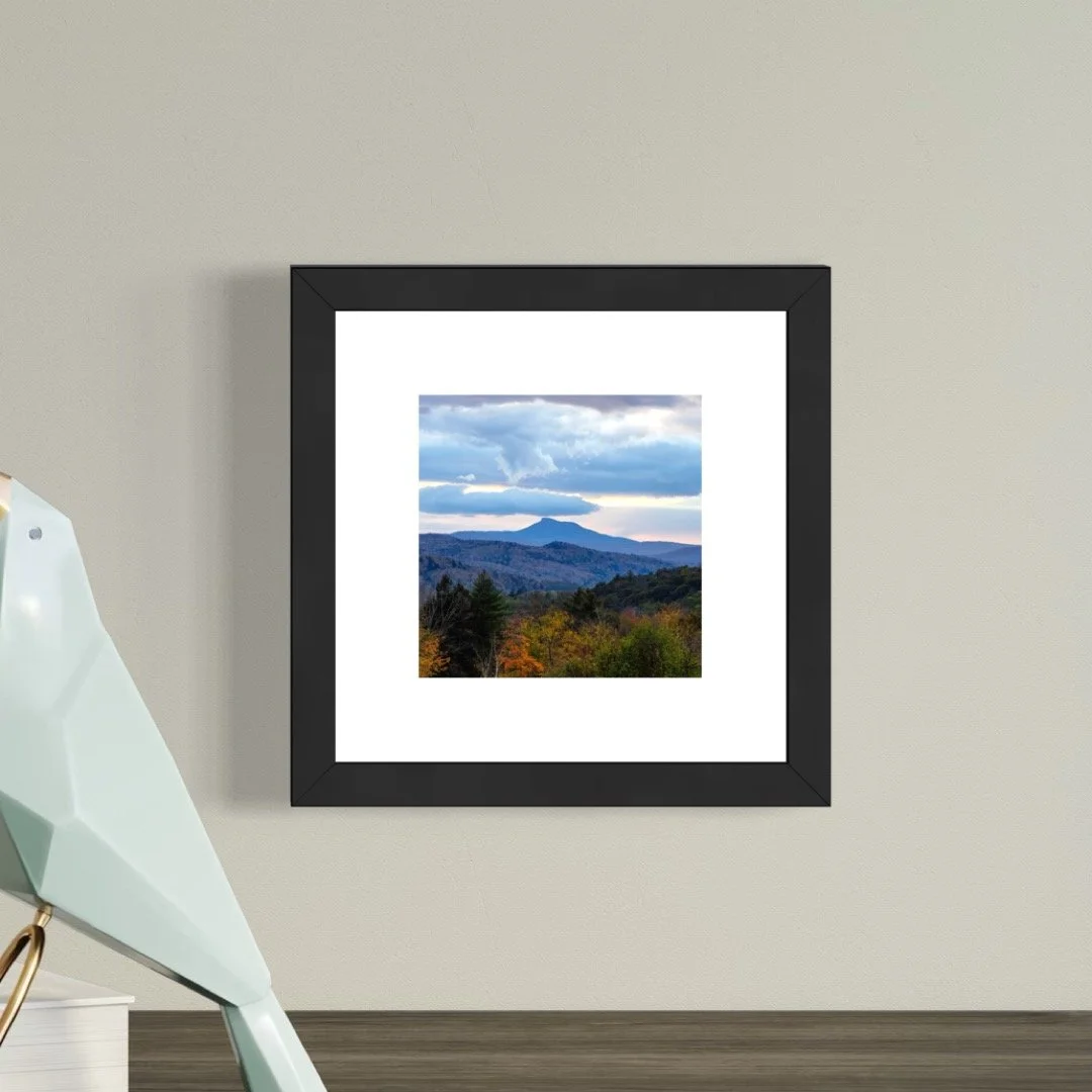 IMGA0010 6x6 1.125 FRAME.JPG