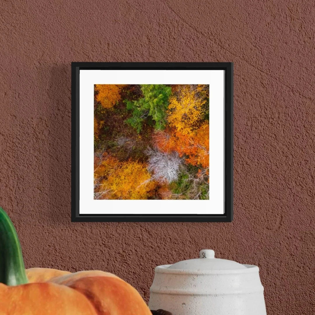 DJI241021_11 A 5x5 0.5 FRAME.JPG