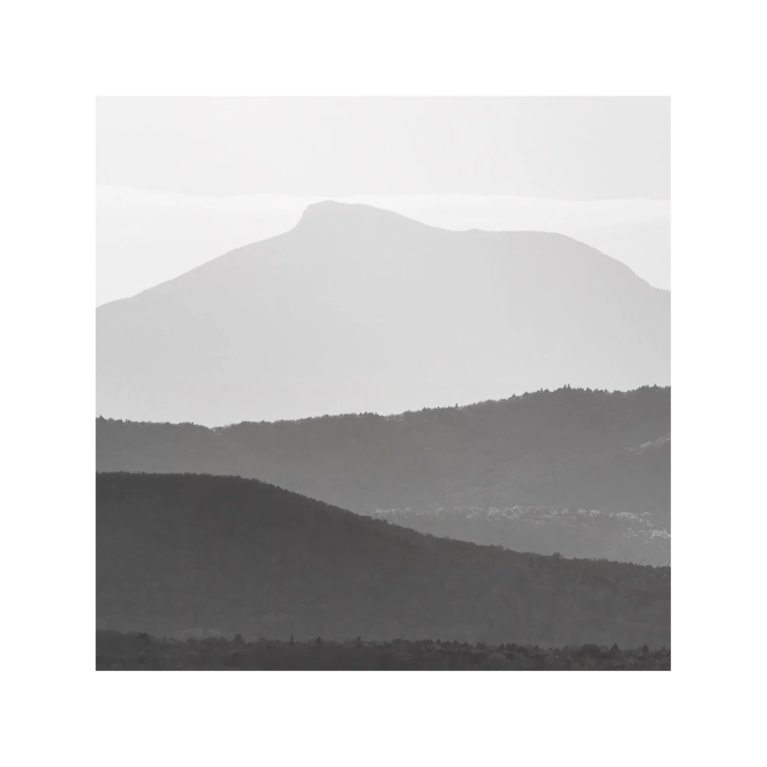 IMGG3334 BW 5X5 .625 CAT.jpg