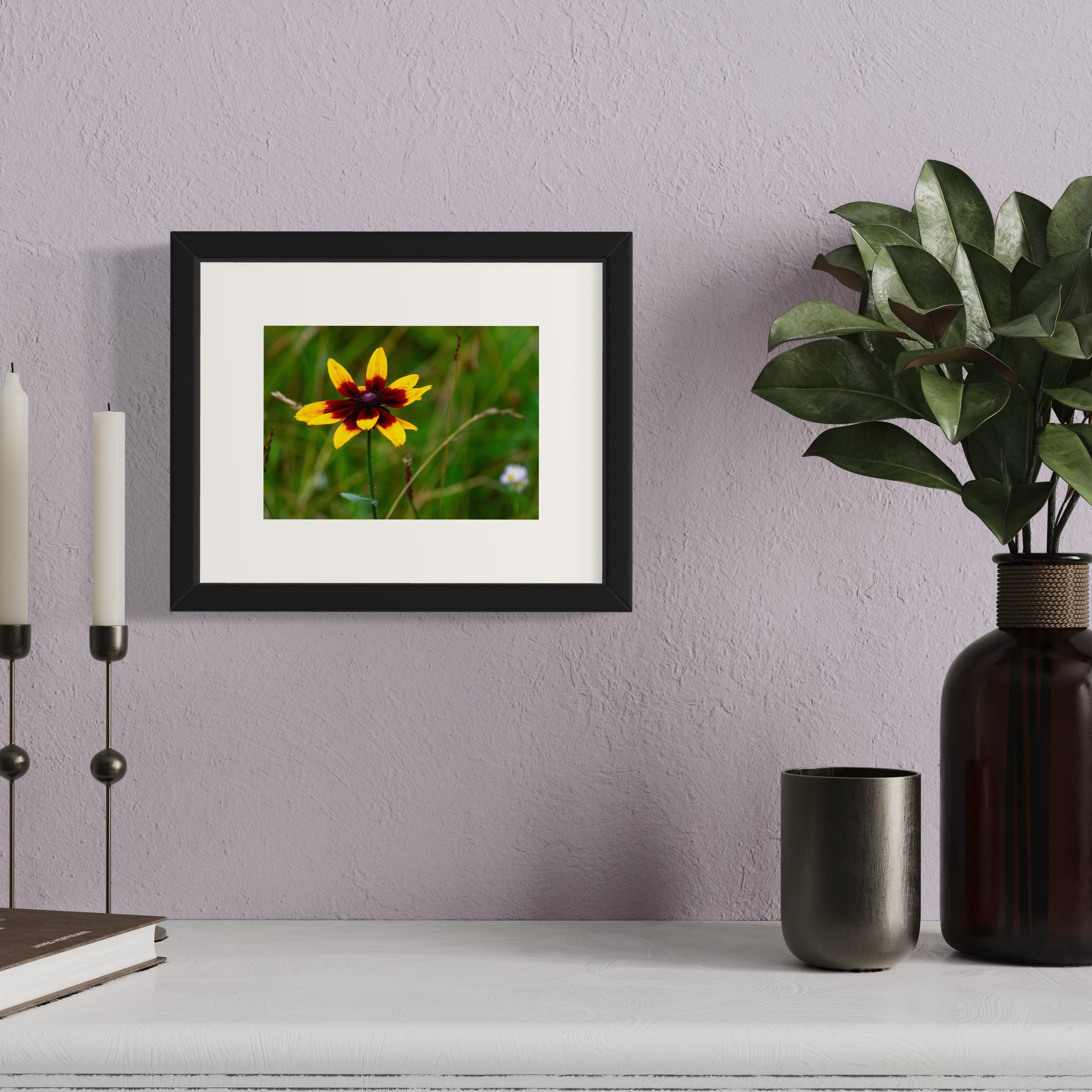 IMGF5275 8x10 1.625 FRAME.JPG