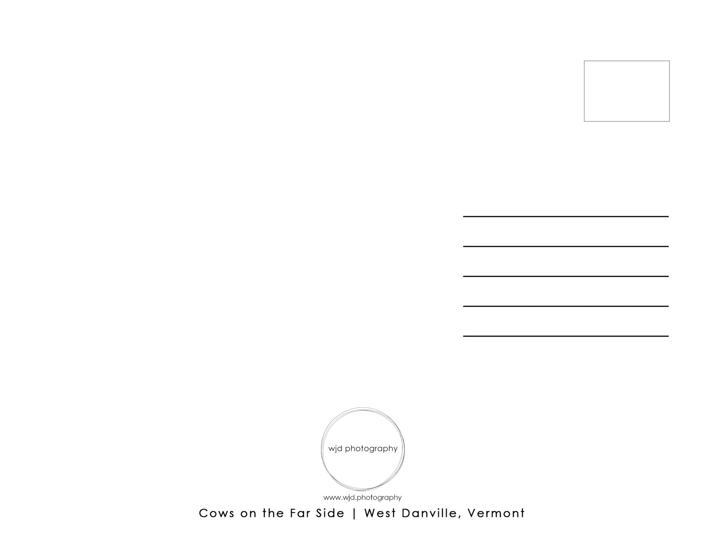 IMGC9667 POSTCARD A BACK 8.5x11.jpg