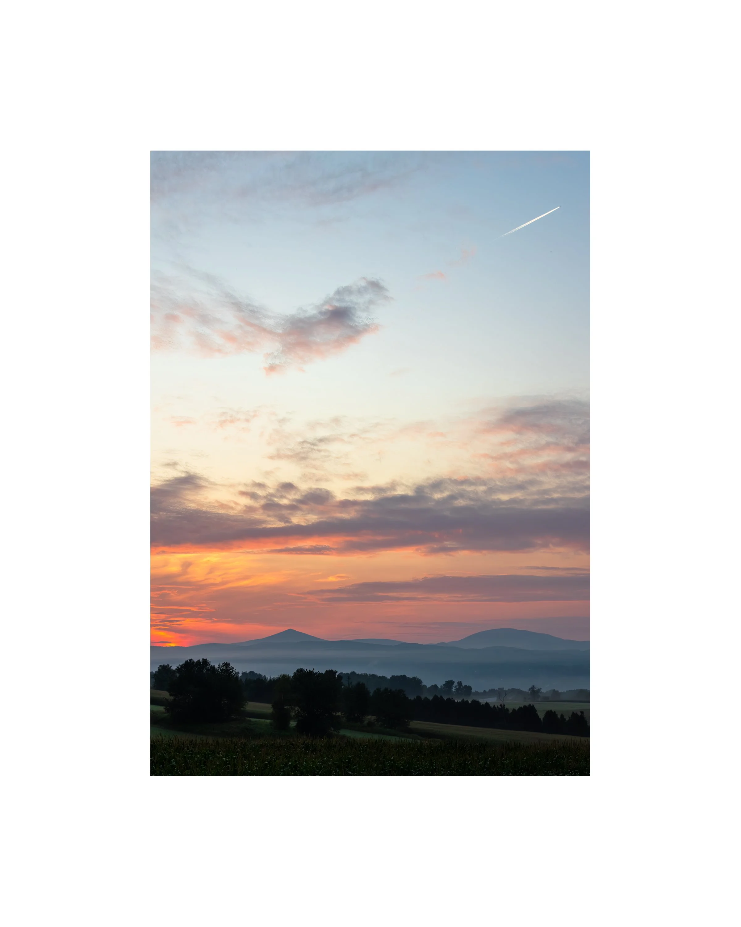 IMGC3645 10x8 1.625 CAT.jpg