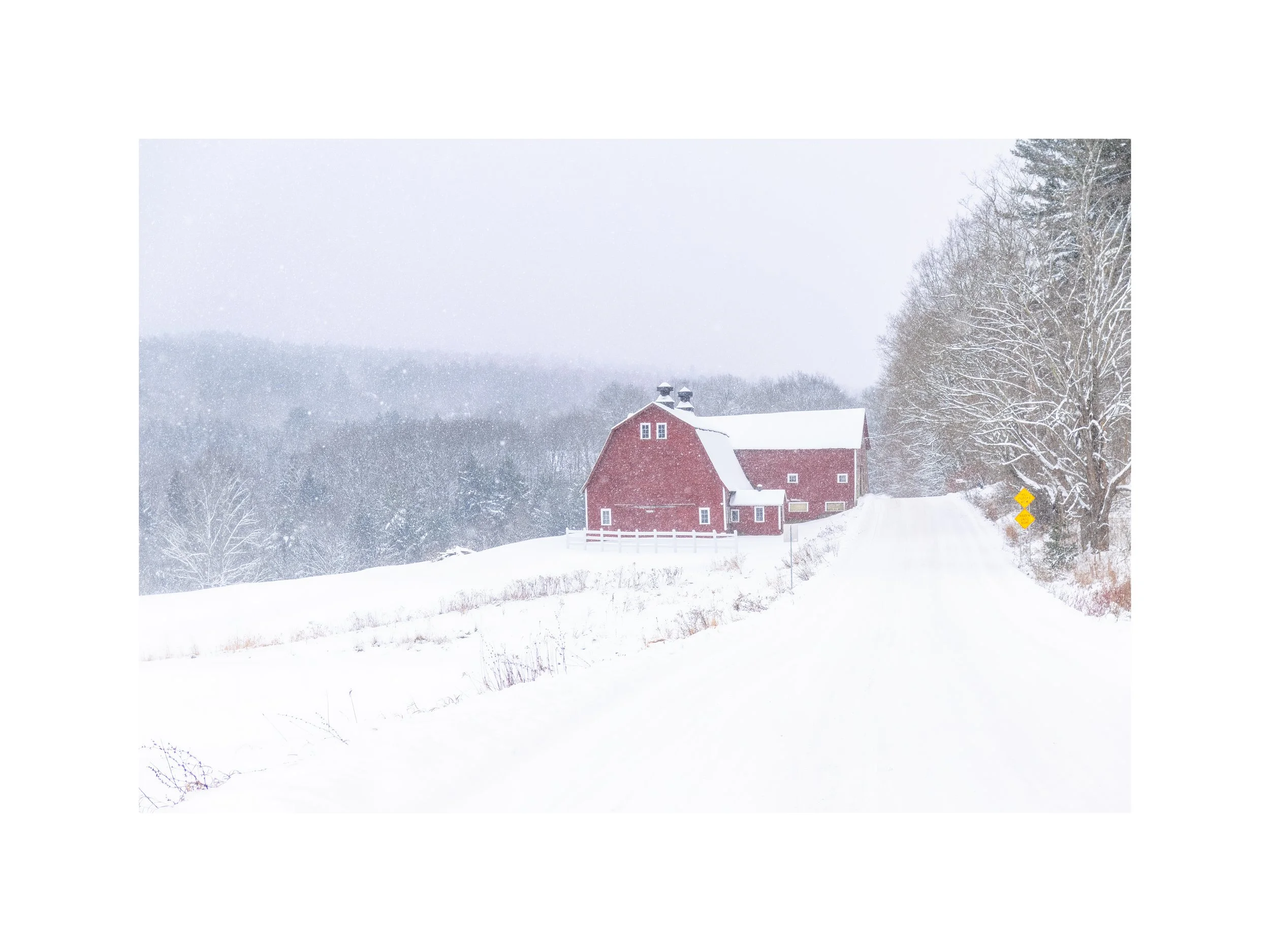 IMGG6778 18X24 2.625 CAT-L.jpg