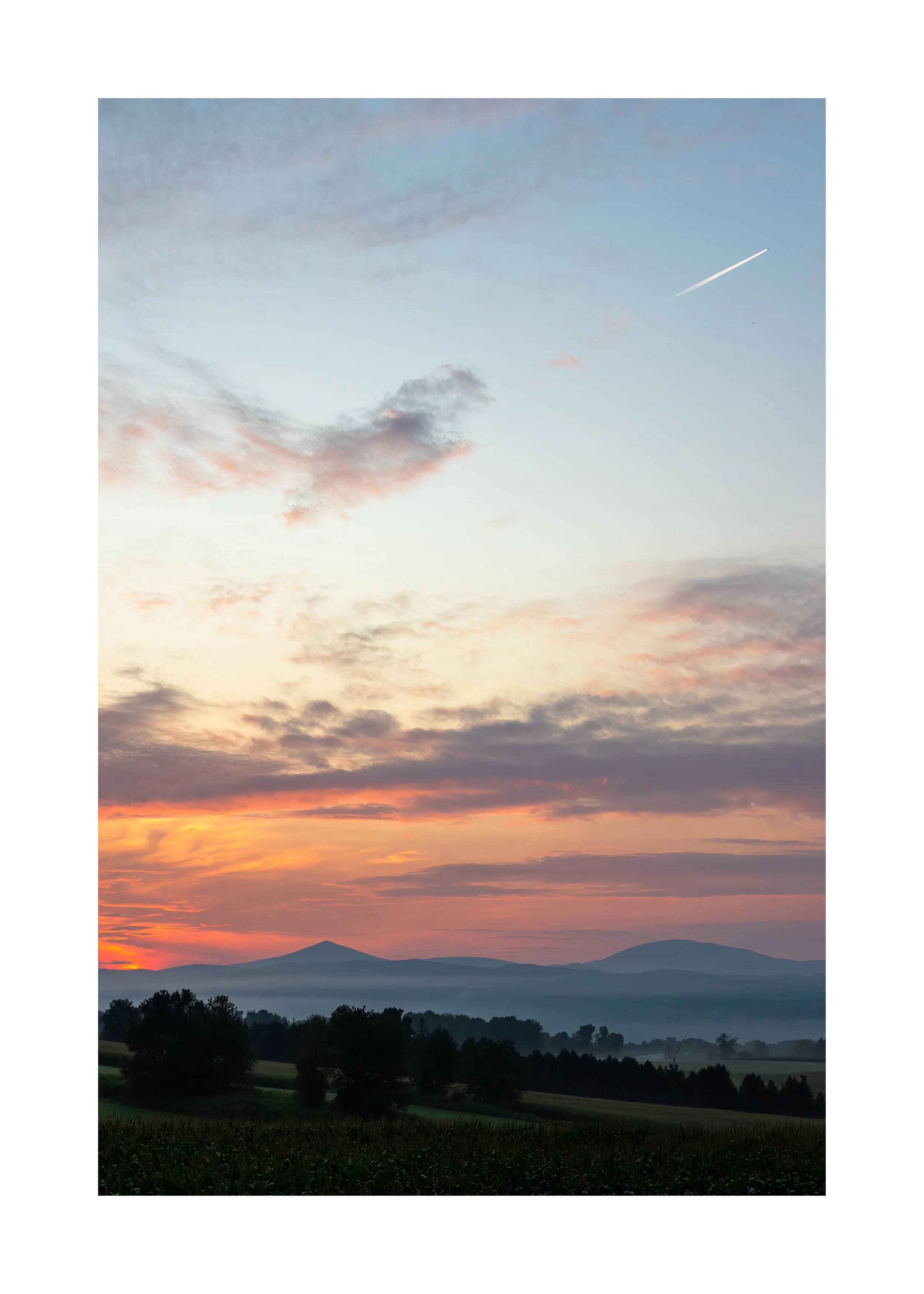 IMGC3645 28x20 2.125 CAT-L.jpg