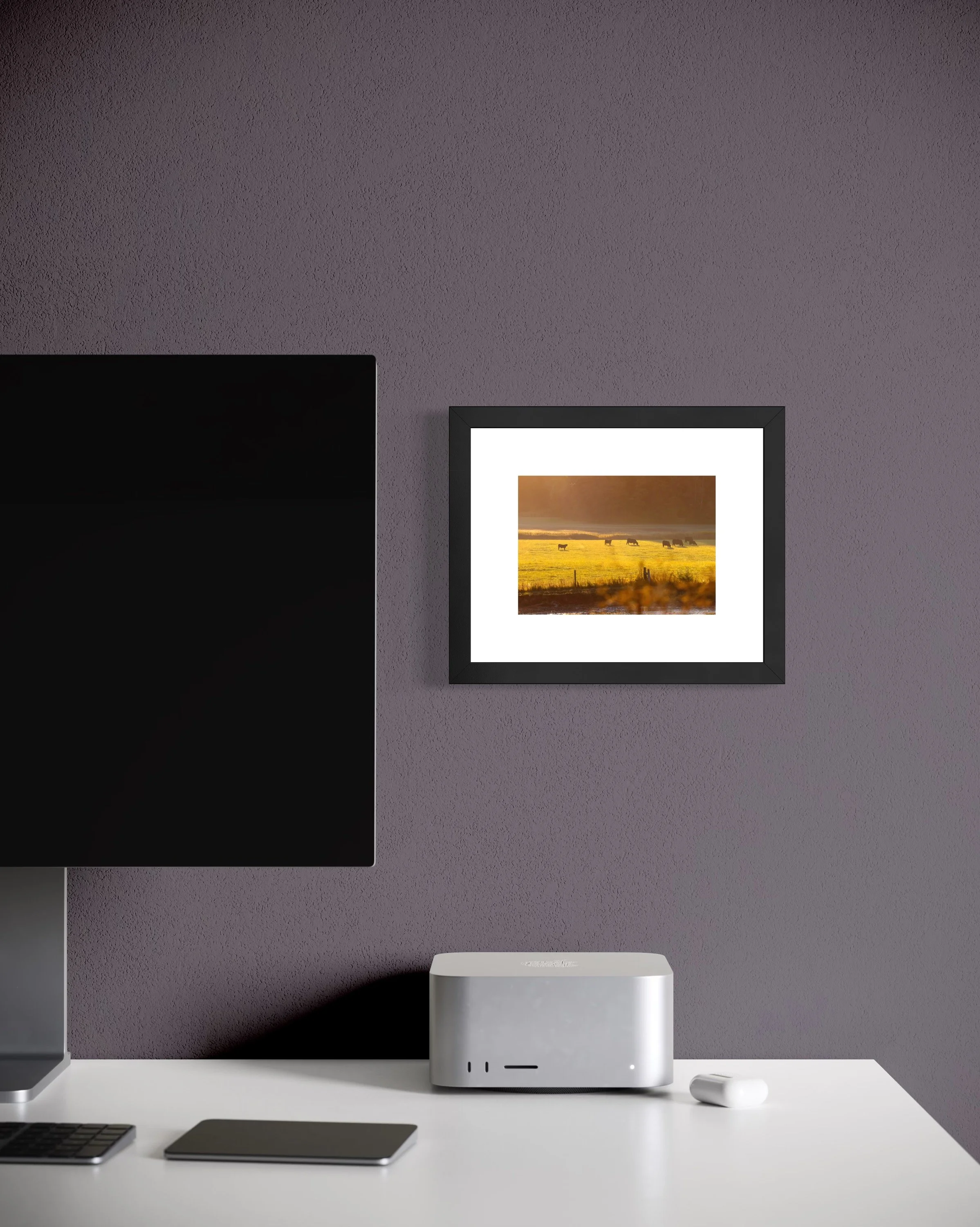 IMGF9141 8x10 1.625 FRAME.JPG