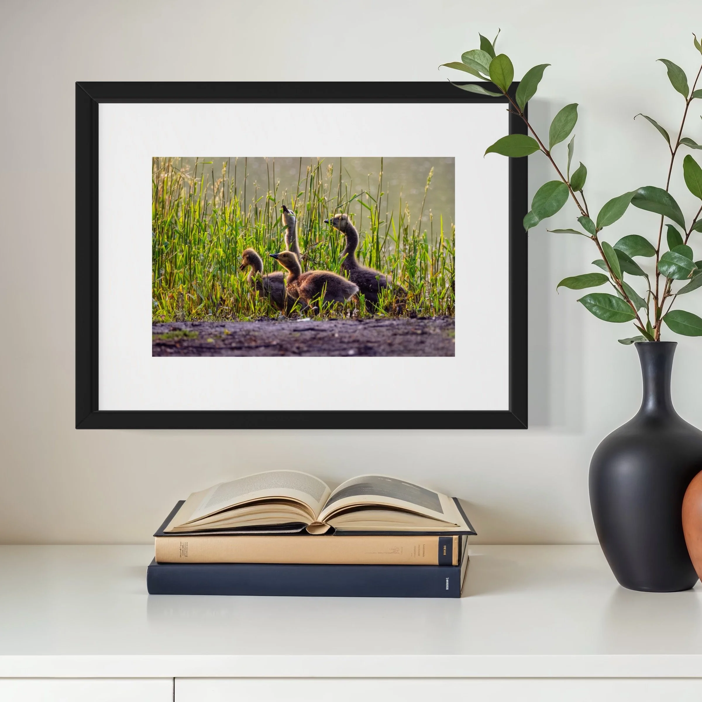 IMGF3731 12x16 2.125 FRAME.JPG