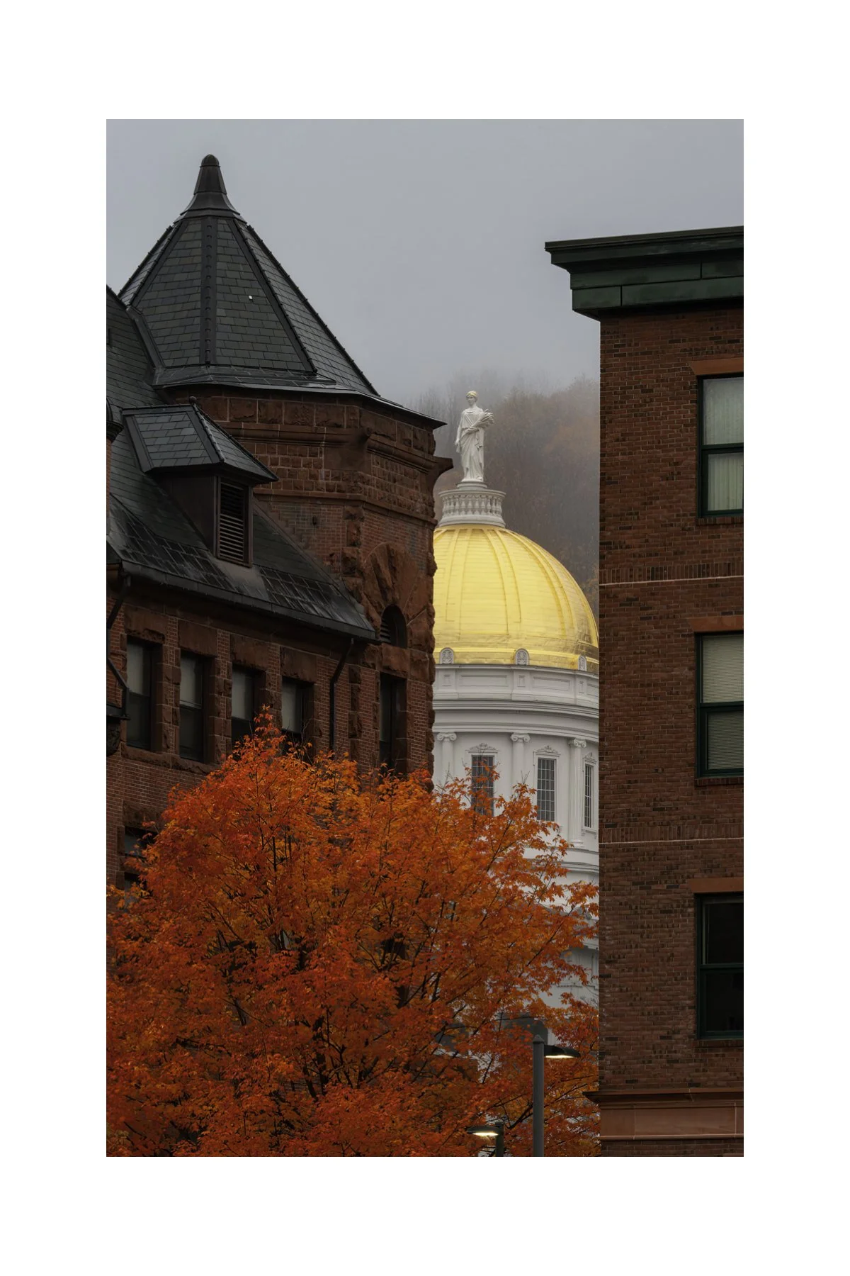 IMG_9637 4X6 0.5 0.56 CAT.jpg