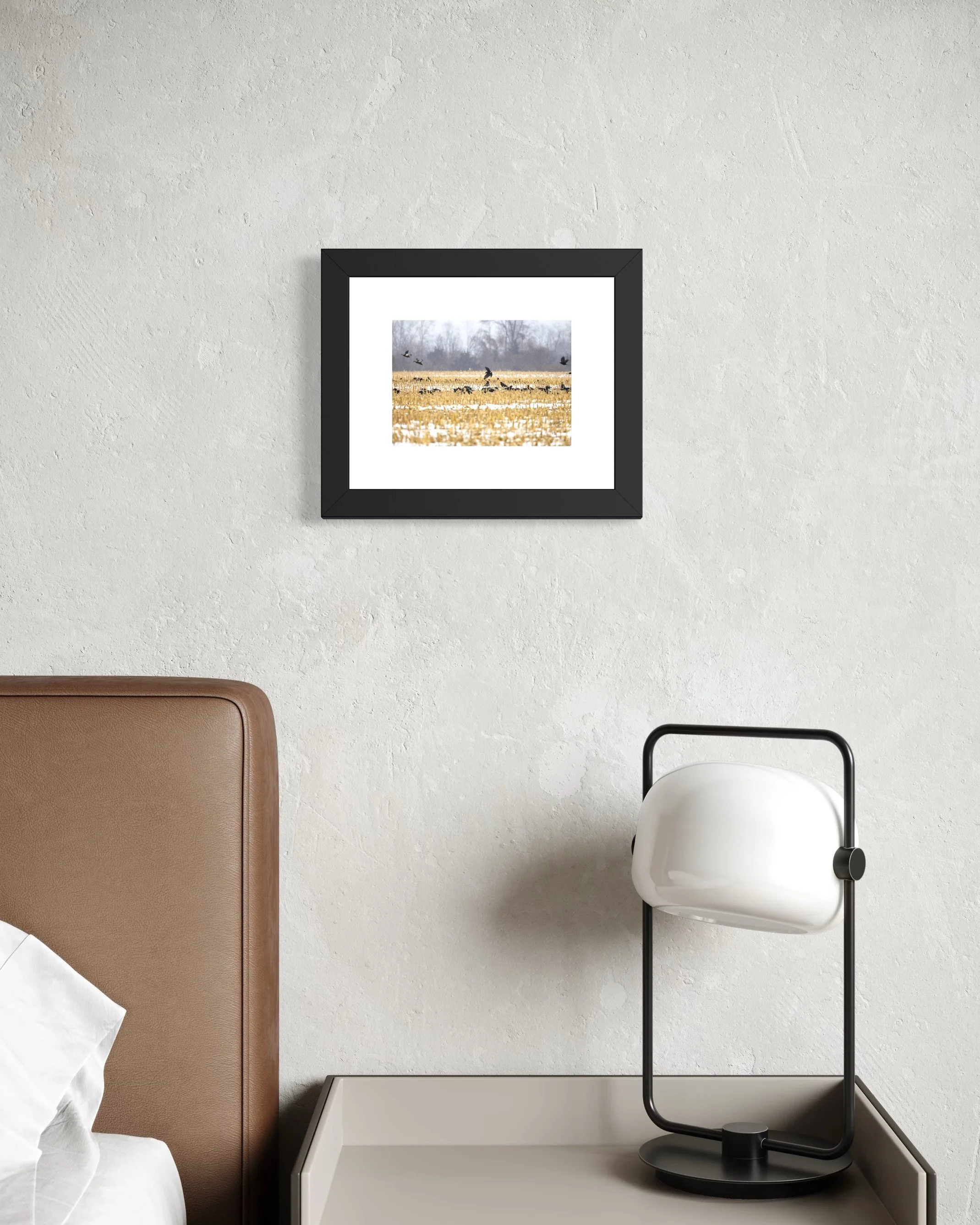 IMGE9169 8X10 1.625 FRAME.JPG