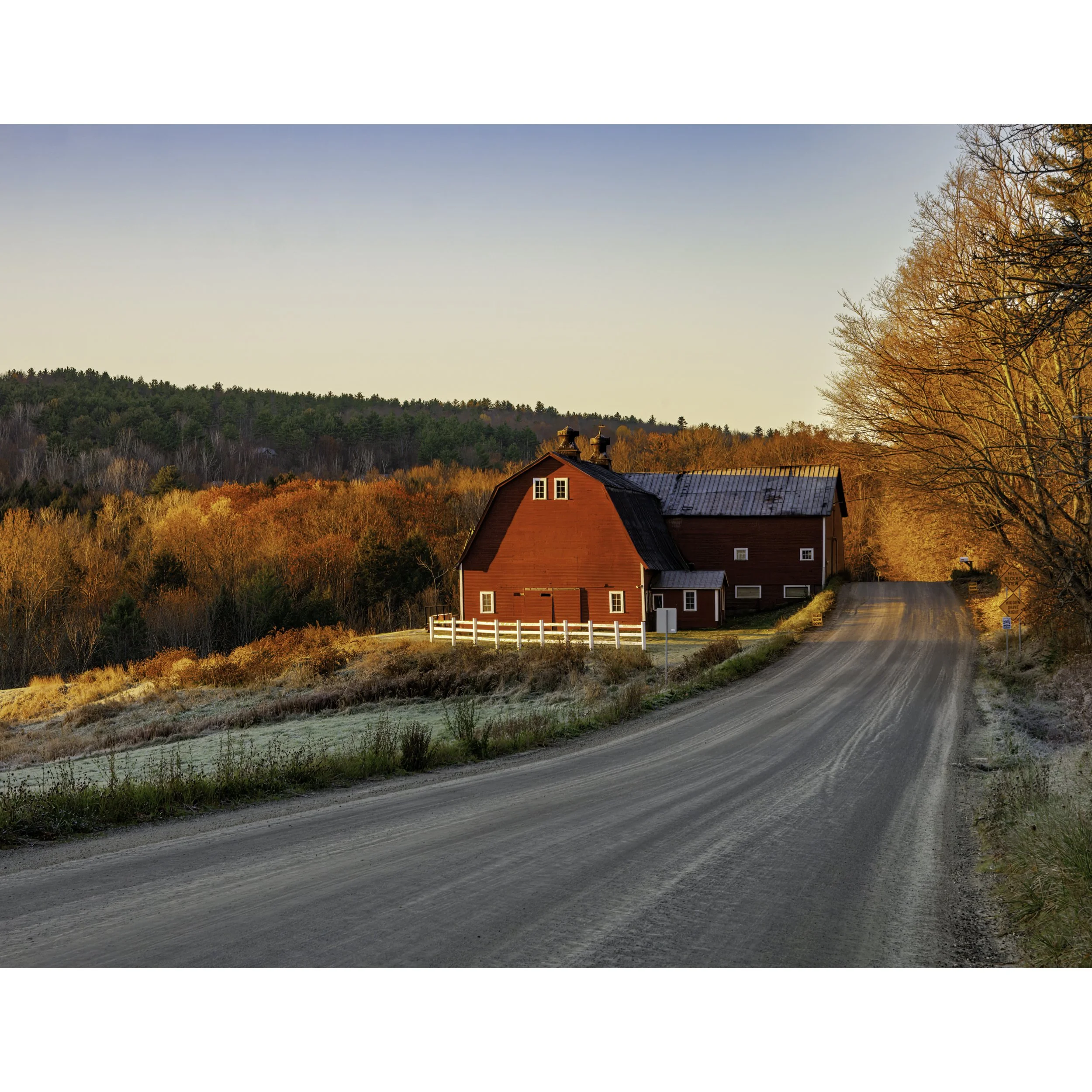 IMG_1314 POSTCARD 8.5x11 ICON.jpg