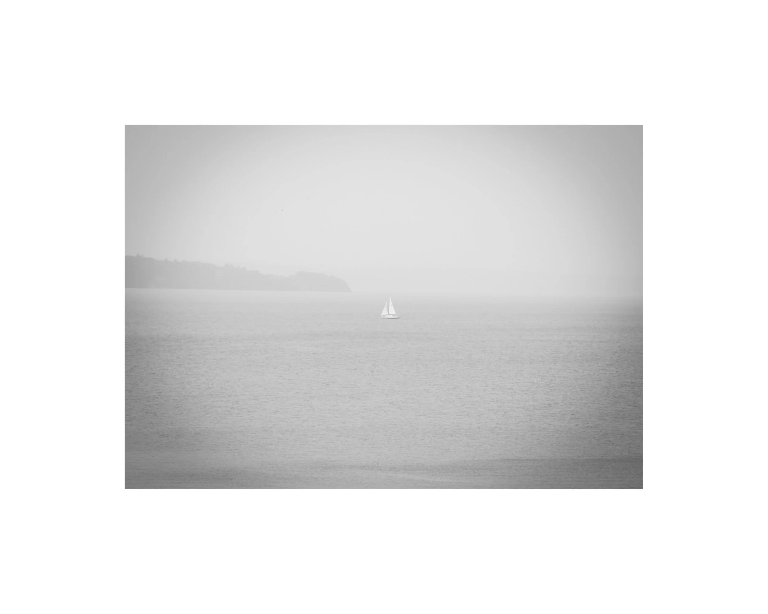 IMGA2623 8x10 1.625 CAT.jpg