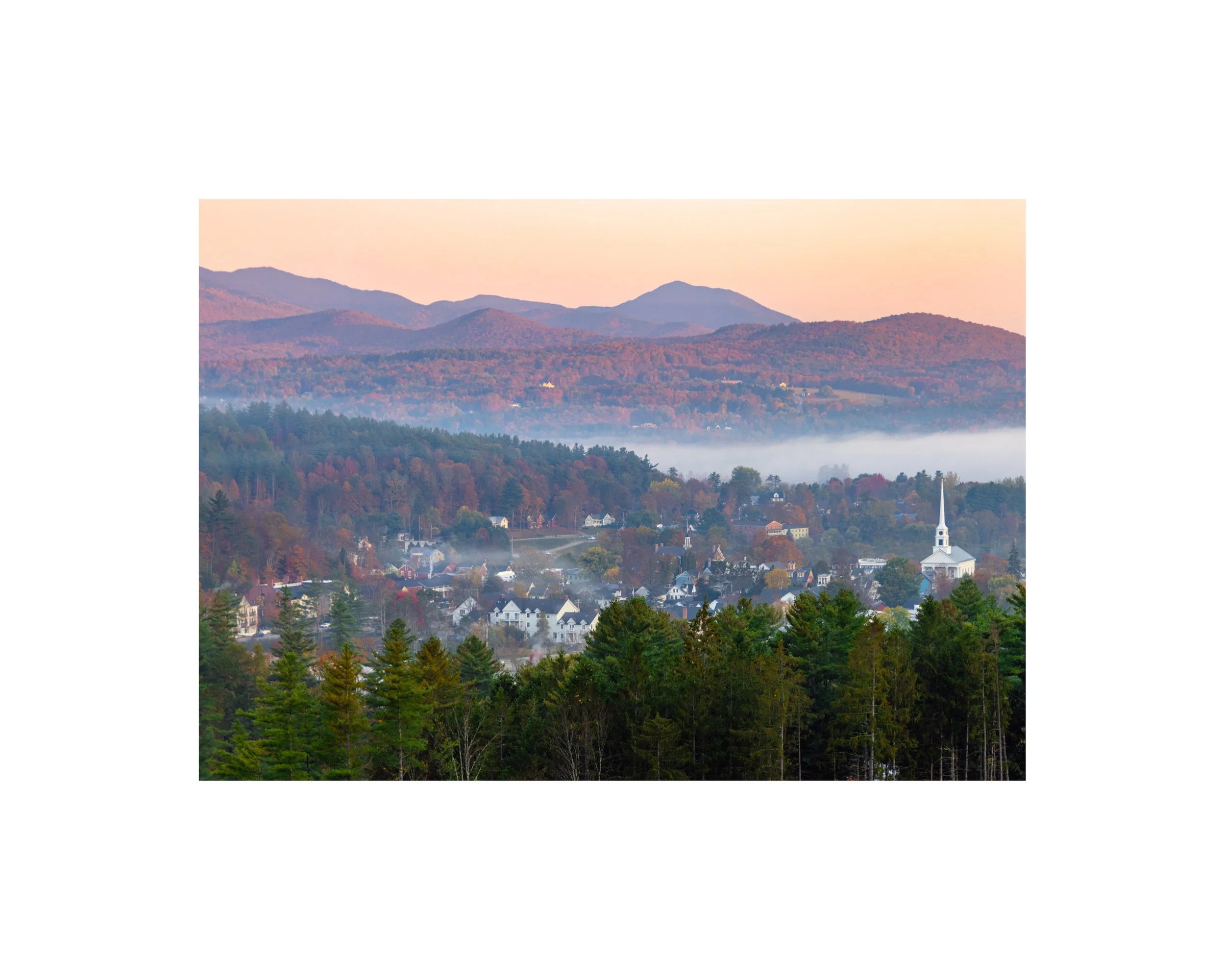 IMGG2943 8x10 1.625 CAT.jpg