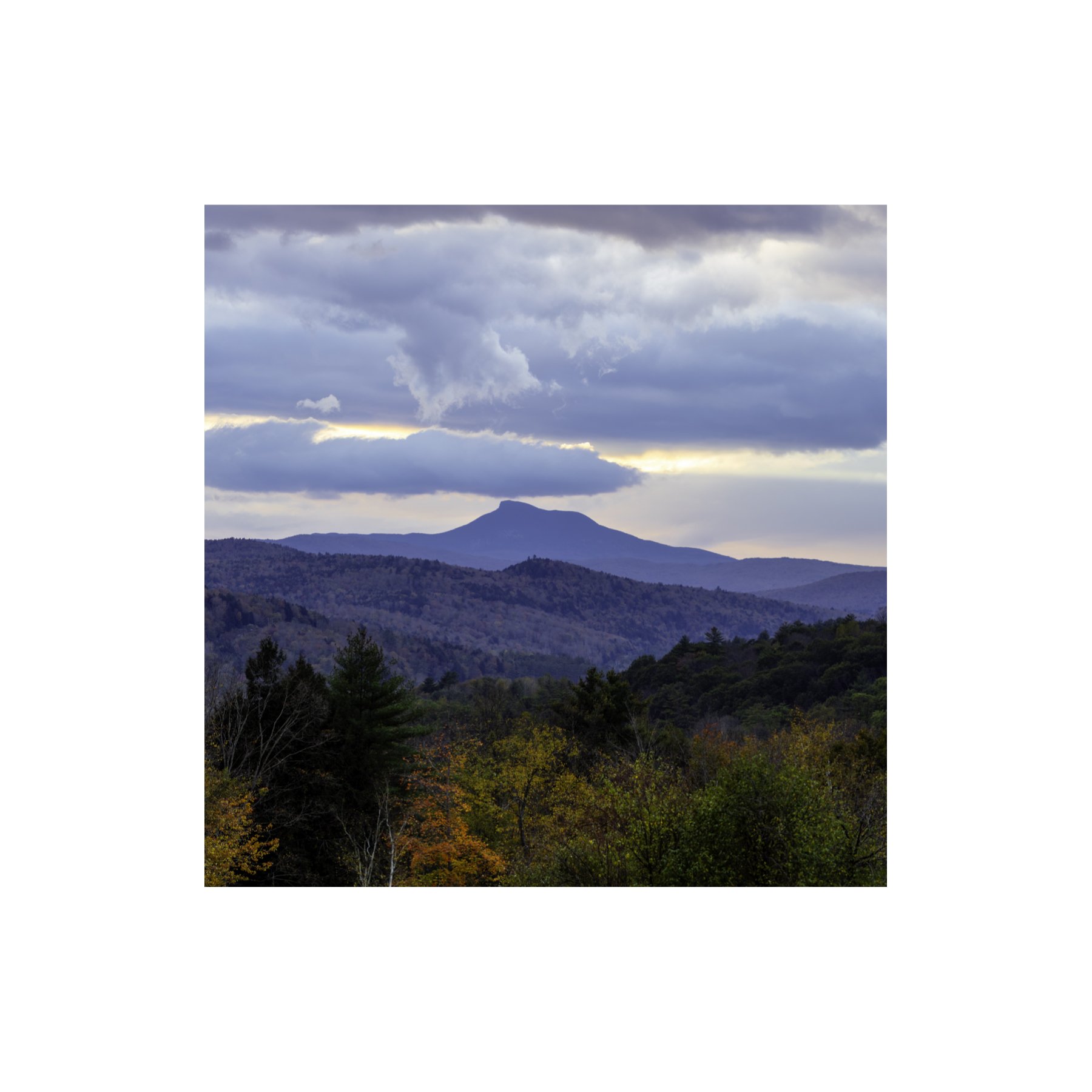 IMGA0010 6x6 1.125 CAT.jpg