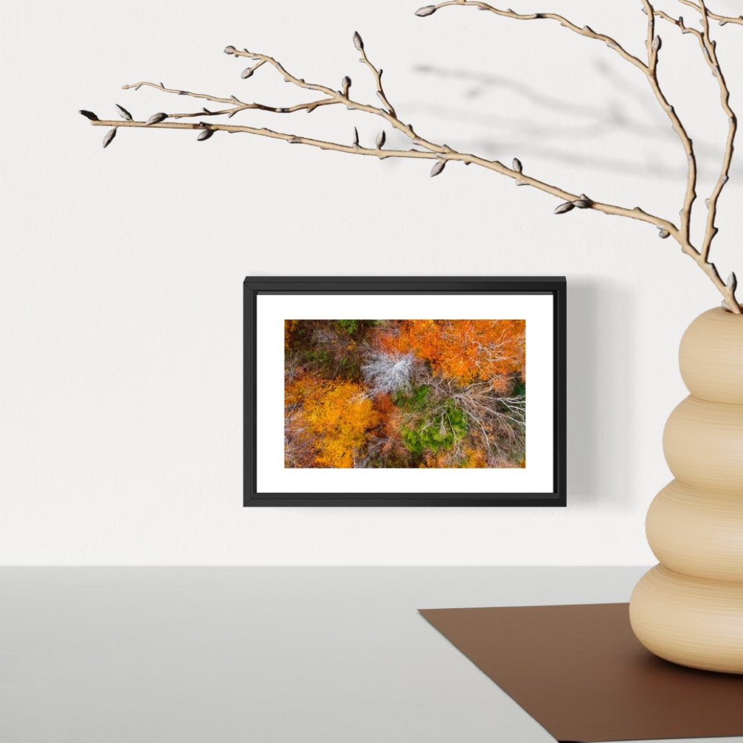 DJI241021_12 4X6 0.5 0.56 FRAME.JPG