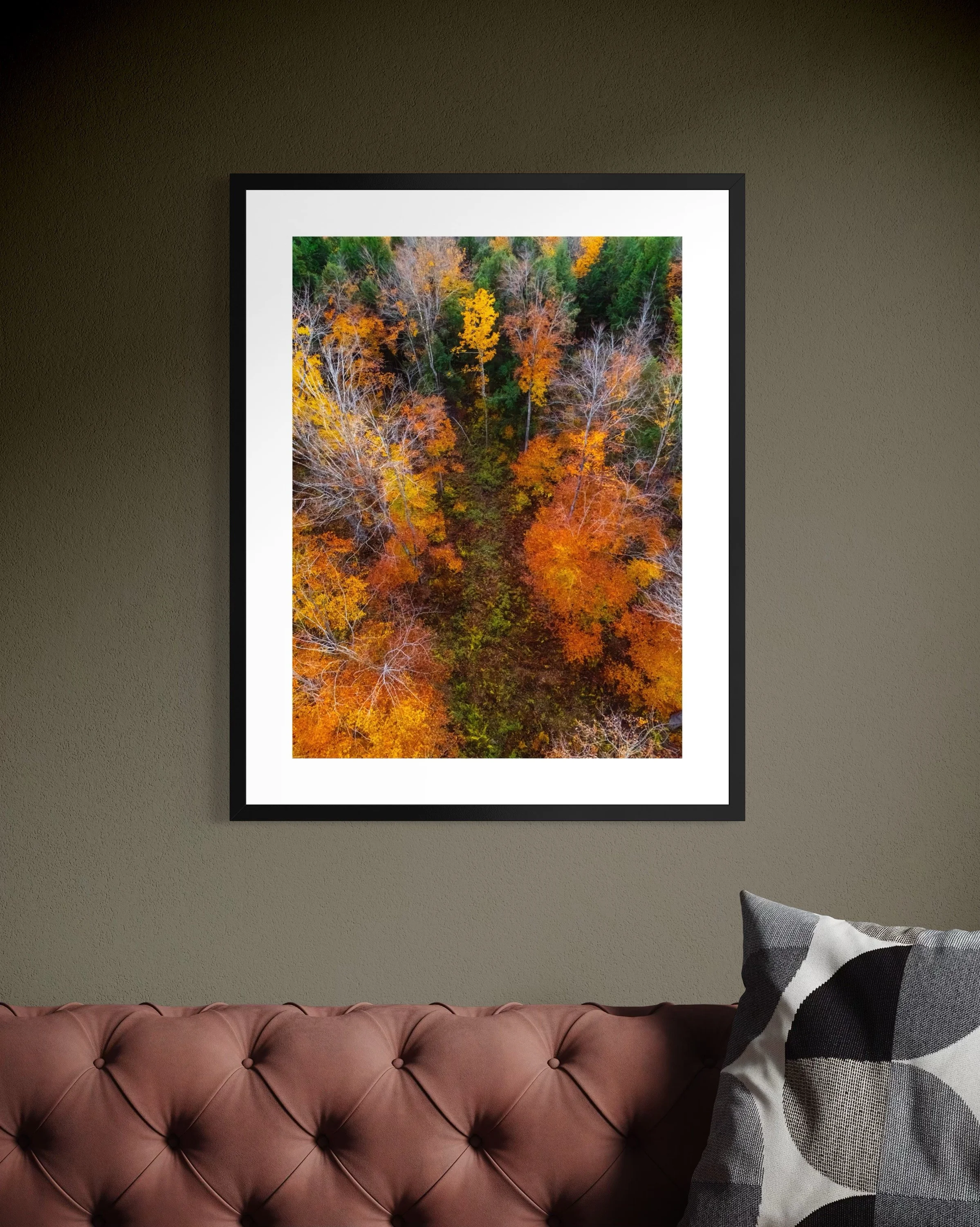 DJI241021_13 28x22 2.125 FRAME.JPG