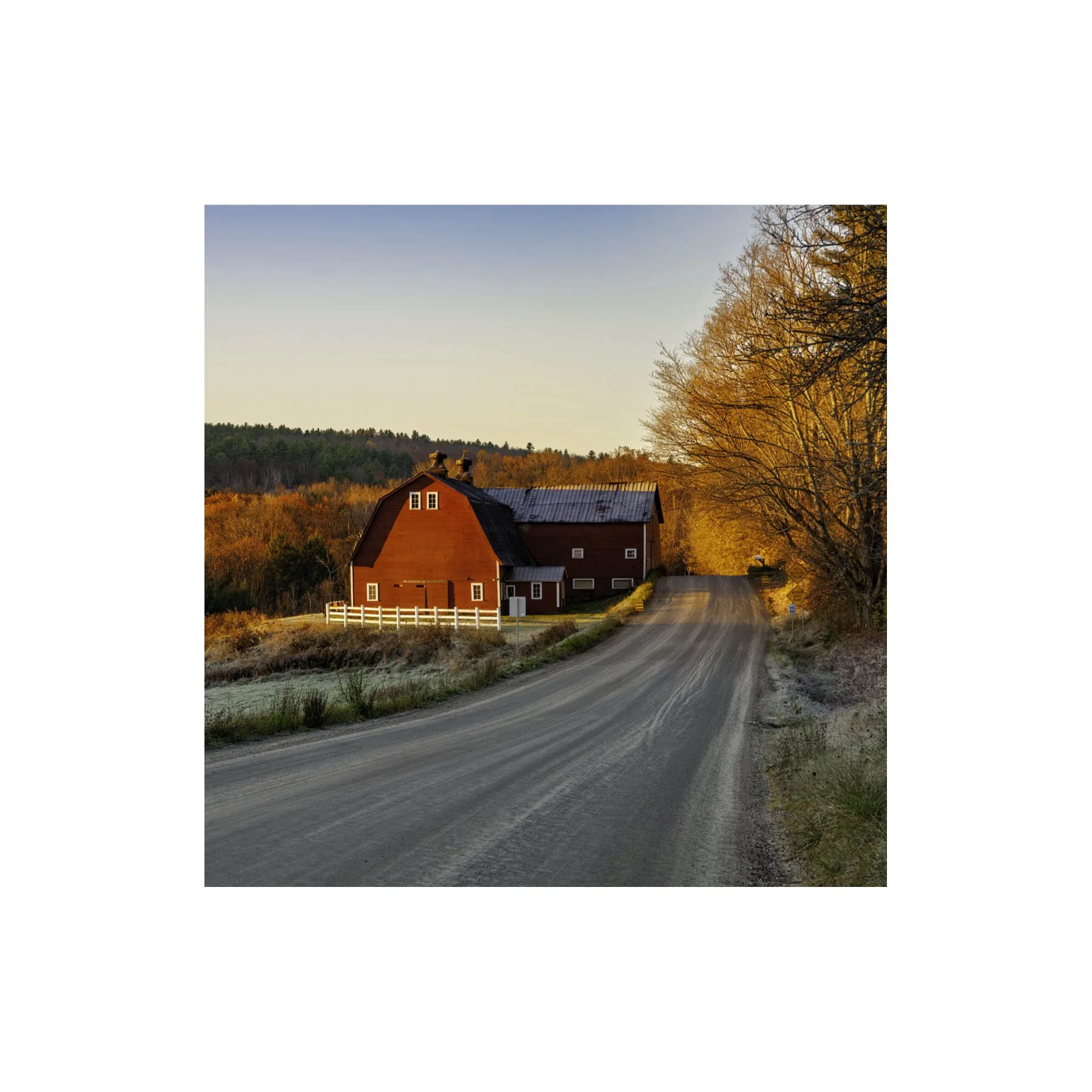 IMG_1314 6x6 1.125 CAT.jpg