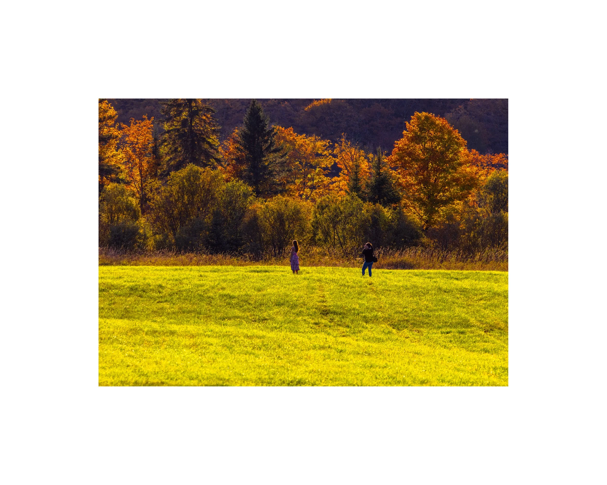 IMGC9753 8X10 1.625 CAT.jpg