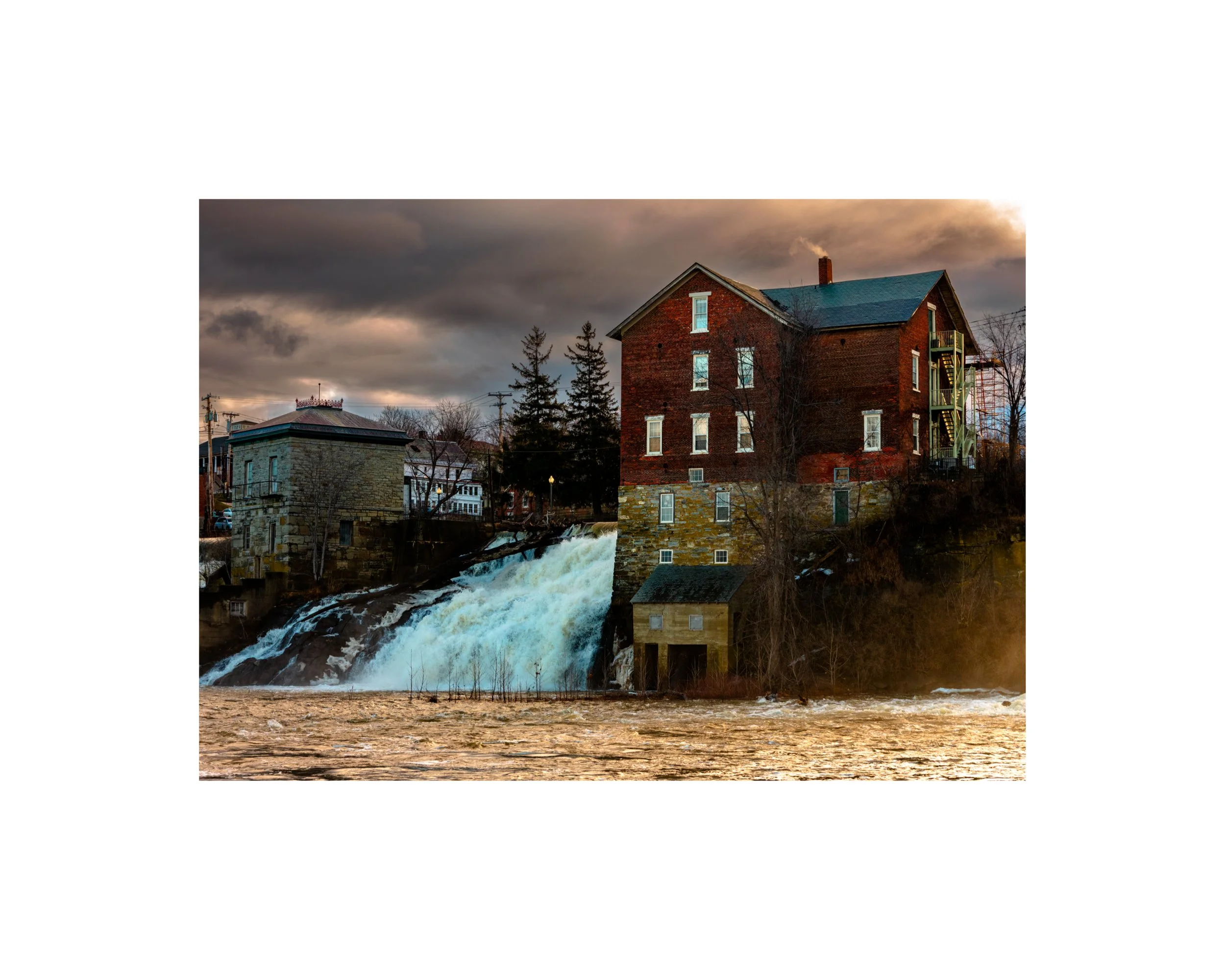 IMGA3512 8x10 1.625 CAT.jpg