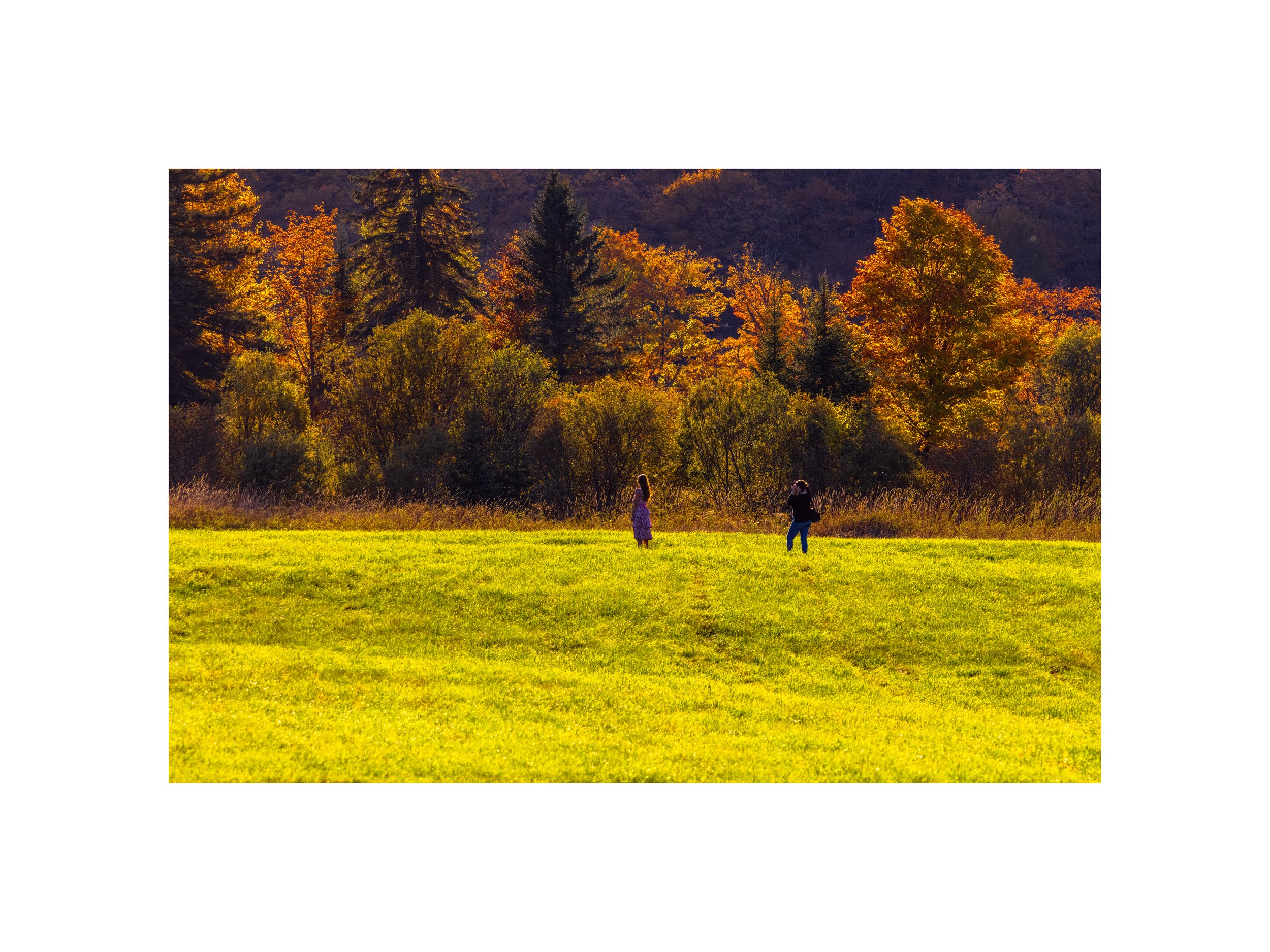 IMGC9753 12X16 2.125 CAT-L.jpg