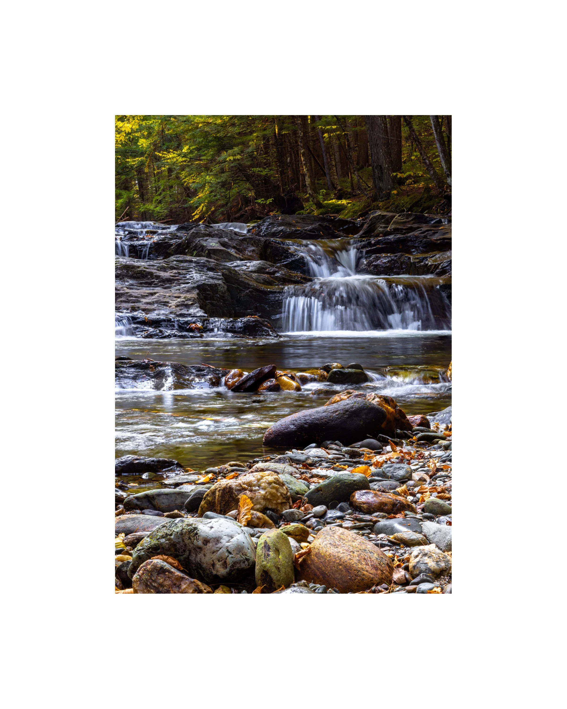 IMGA9526 10X8 1.625 CAT.jpg