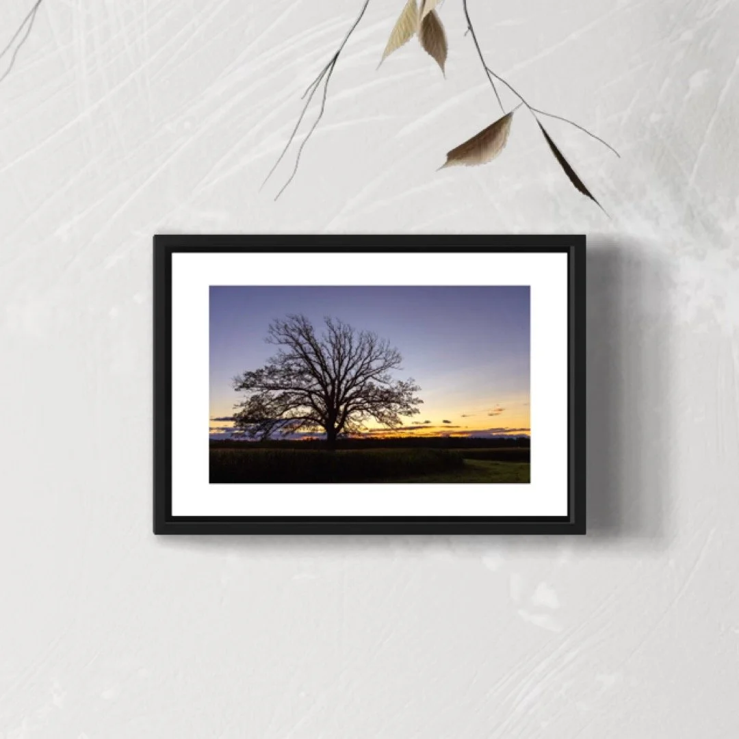 IMGF8981 4X6 0.5 0.56 FRAME.JPG