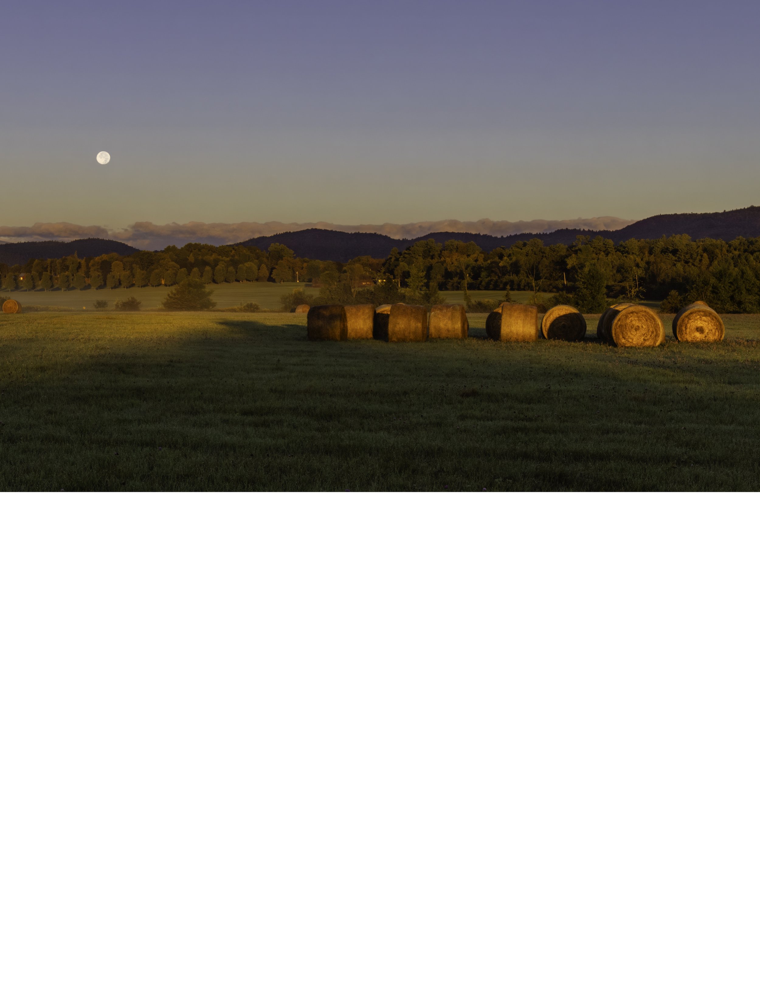 IMGF9017 NOTEPAD BASE 8.5x11 CAT.jpg