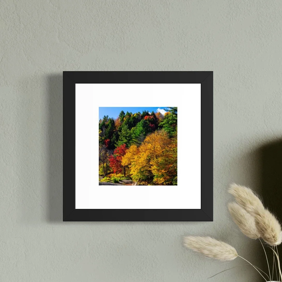 IMGC9966 A 6x6 1.125 FRAME.JPG