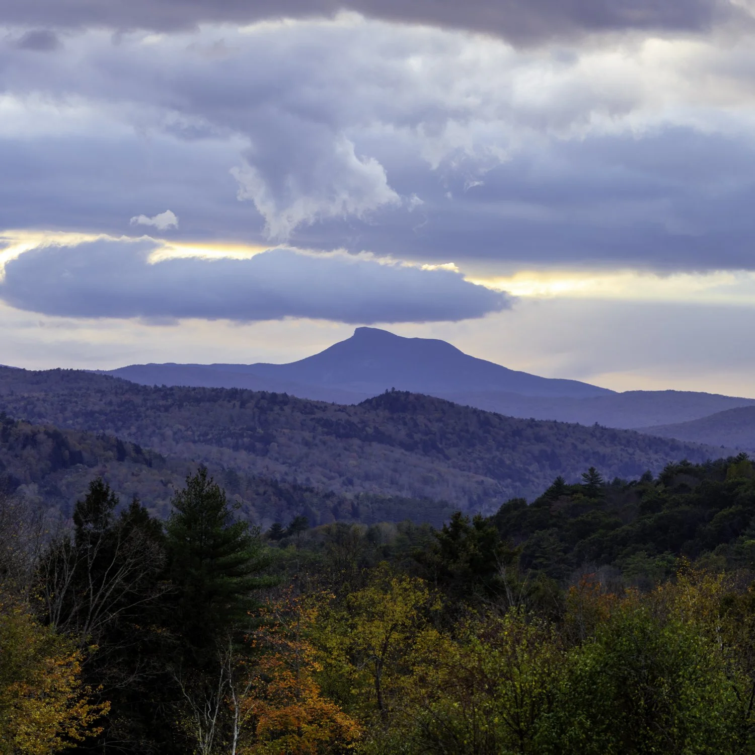 IMGA0010 5x5 MUG CAT.jpg