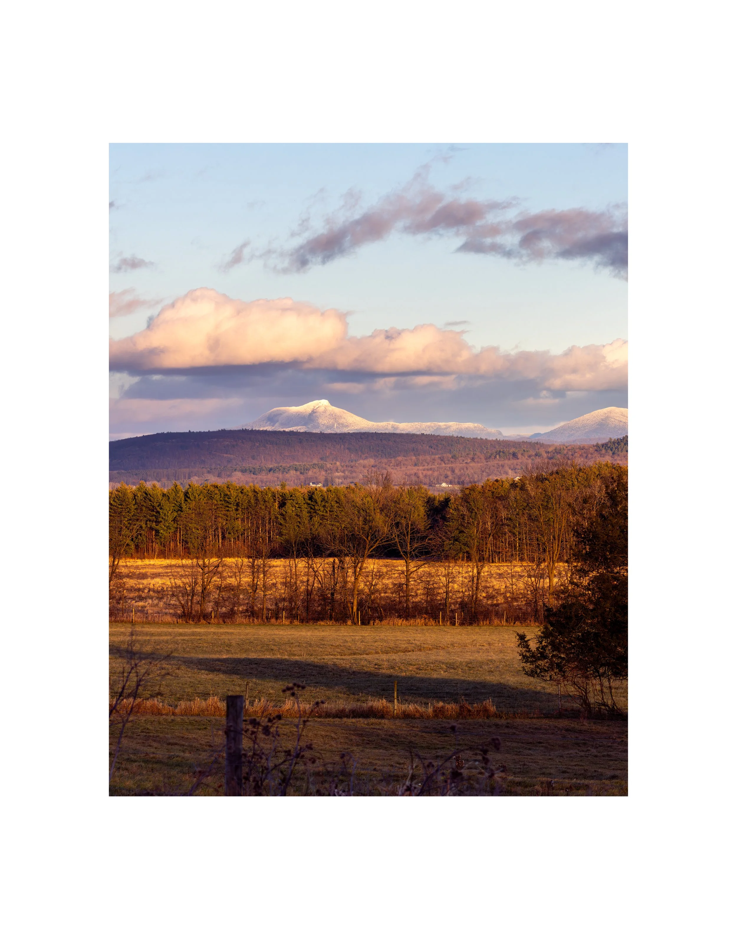 IMGA5586 14X11 2.125 1.625 CAT.jpg