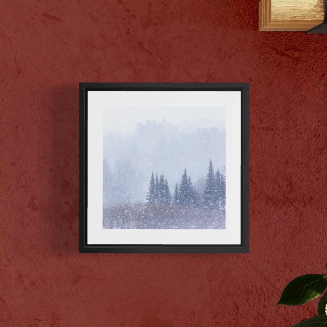 IMGA0204 E2 5x5 0.5 FRAME.JPG