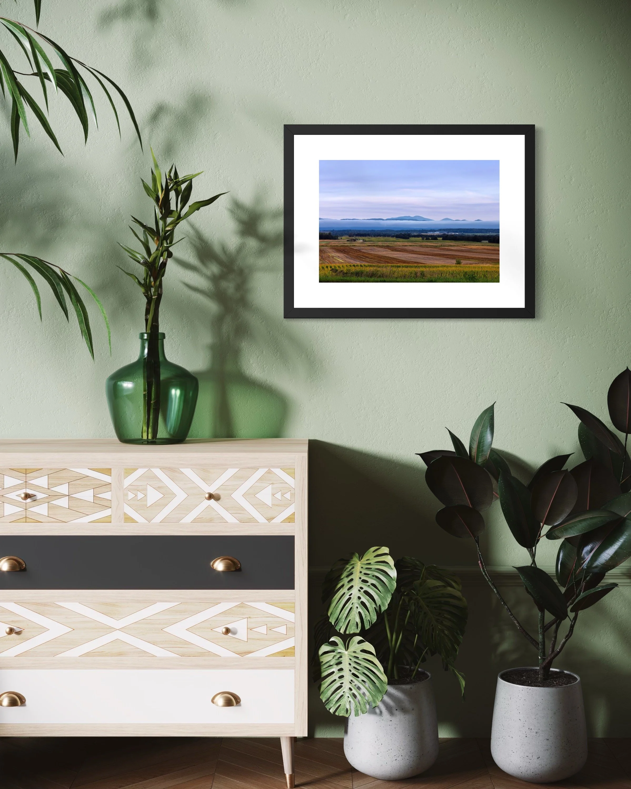 IMGA8548 18X24 2.625 FRAME.JPG