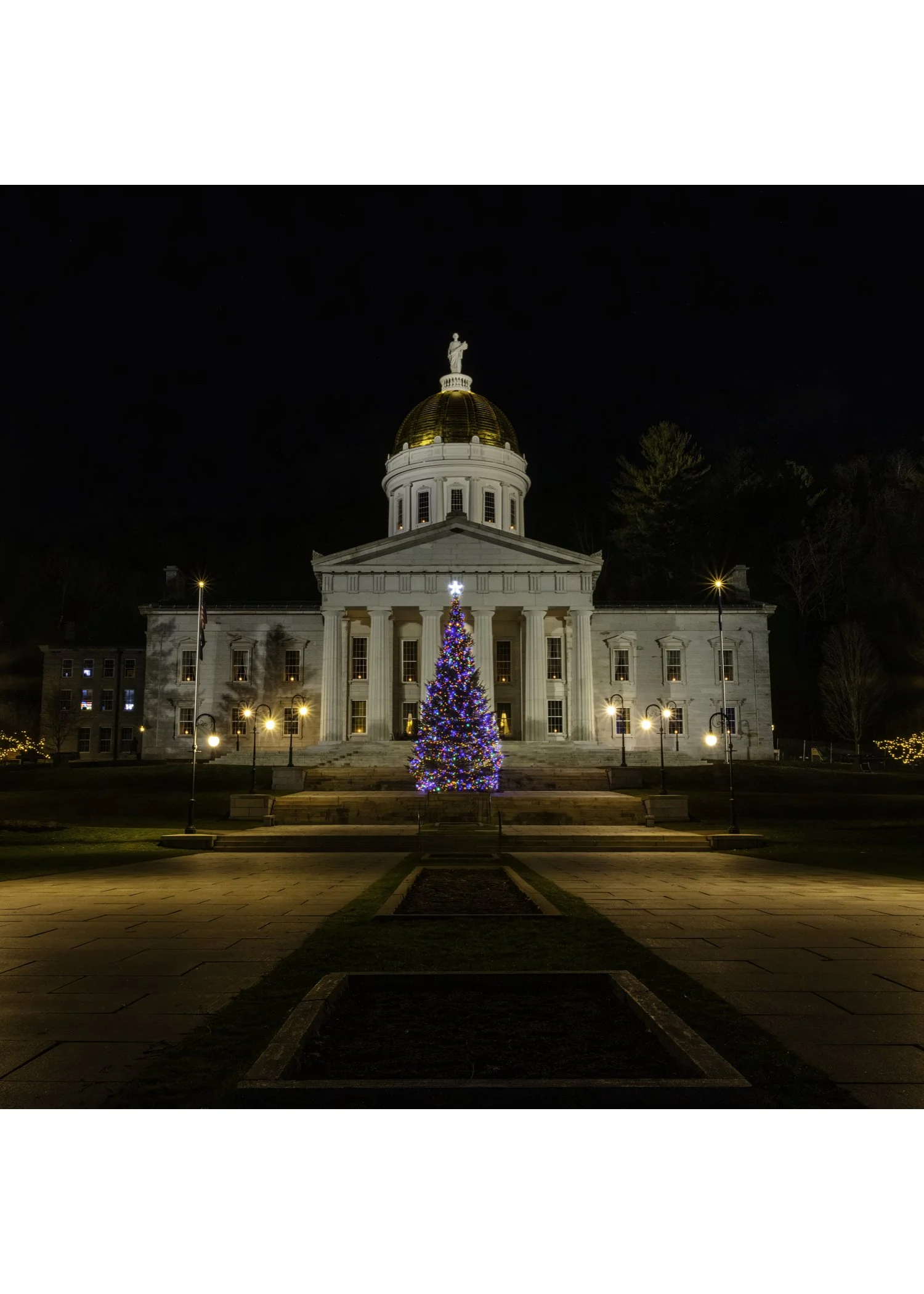 IMGA2532 NOTECARD CENTER BASE 7x5 CAT.jpg