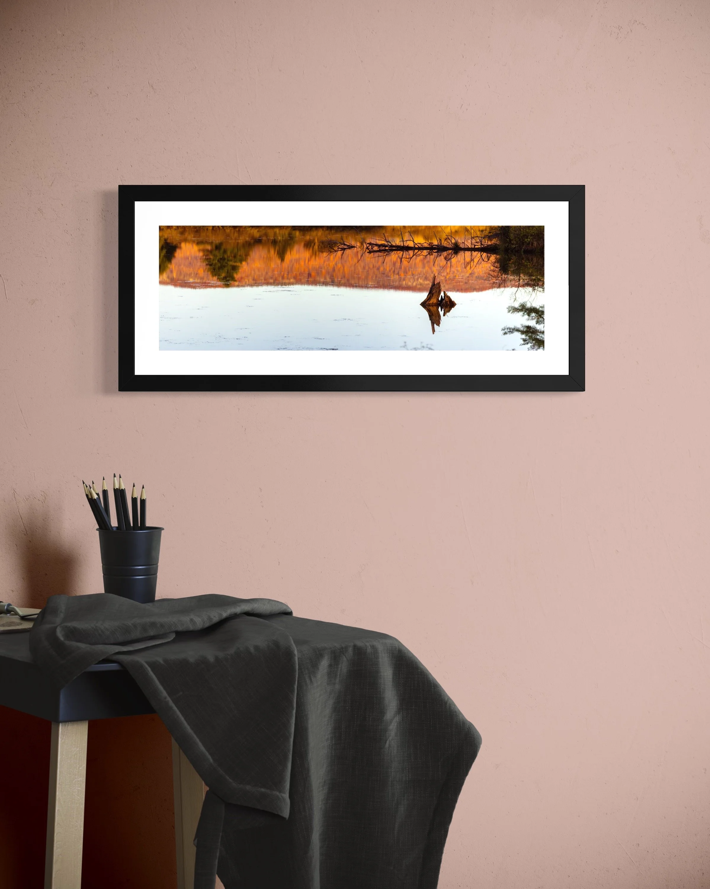 IMGD1075 8x20 1.125 FRAME.JPG