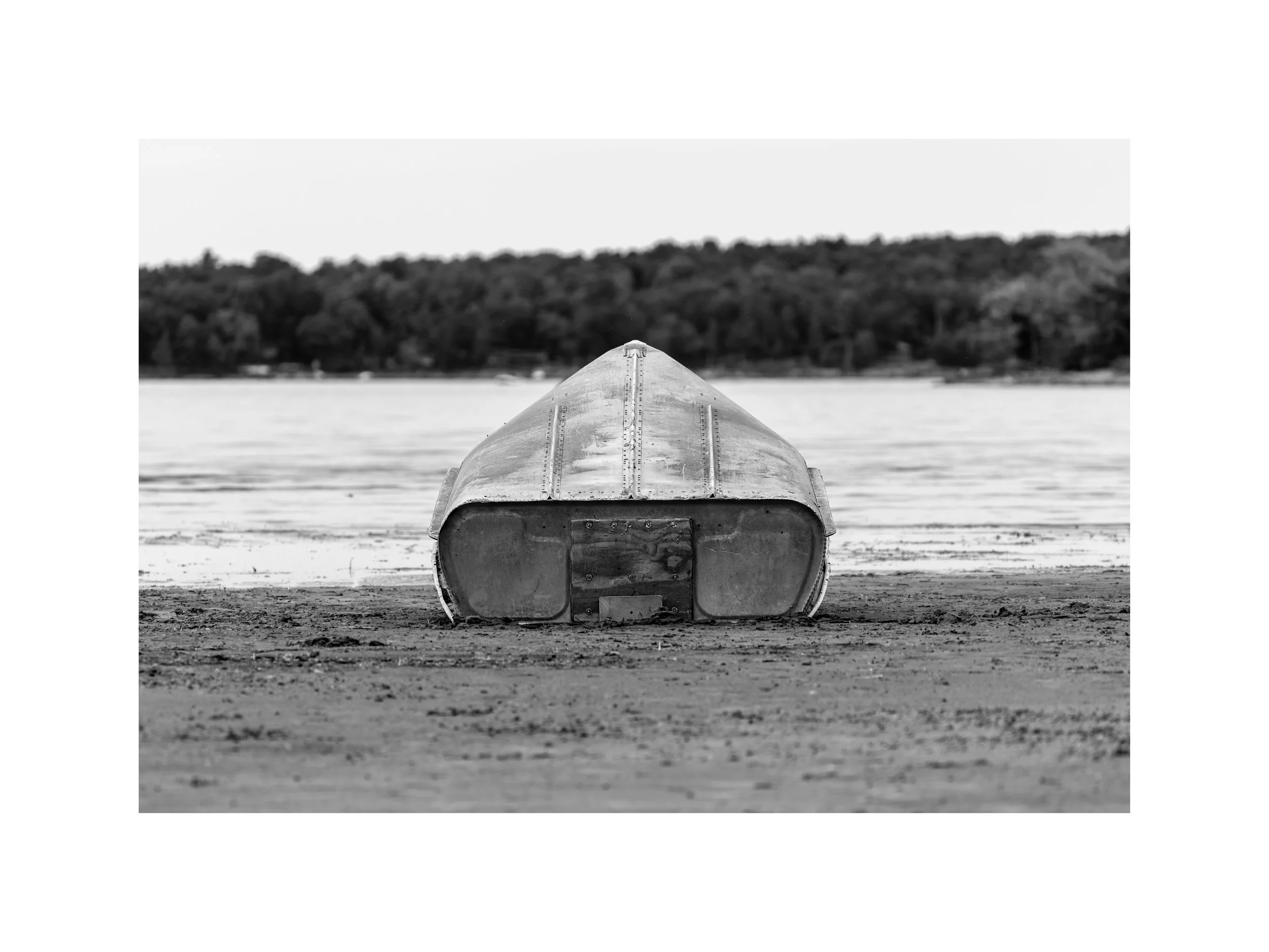 IMGF7316 18x24 2.625 CAT.jpg