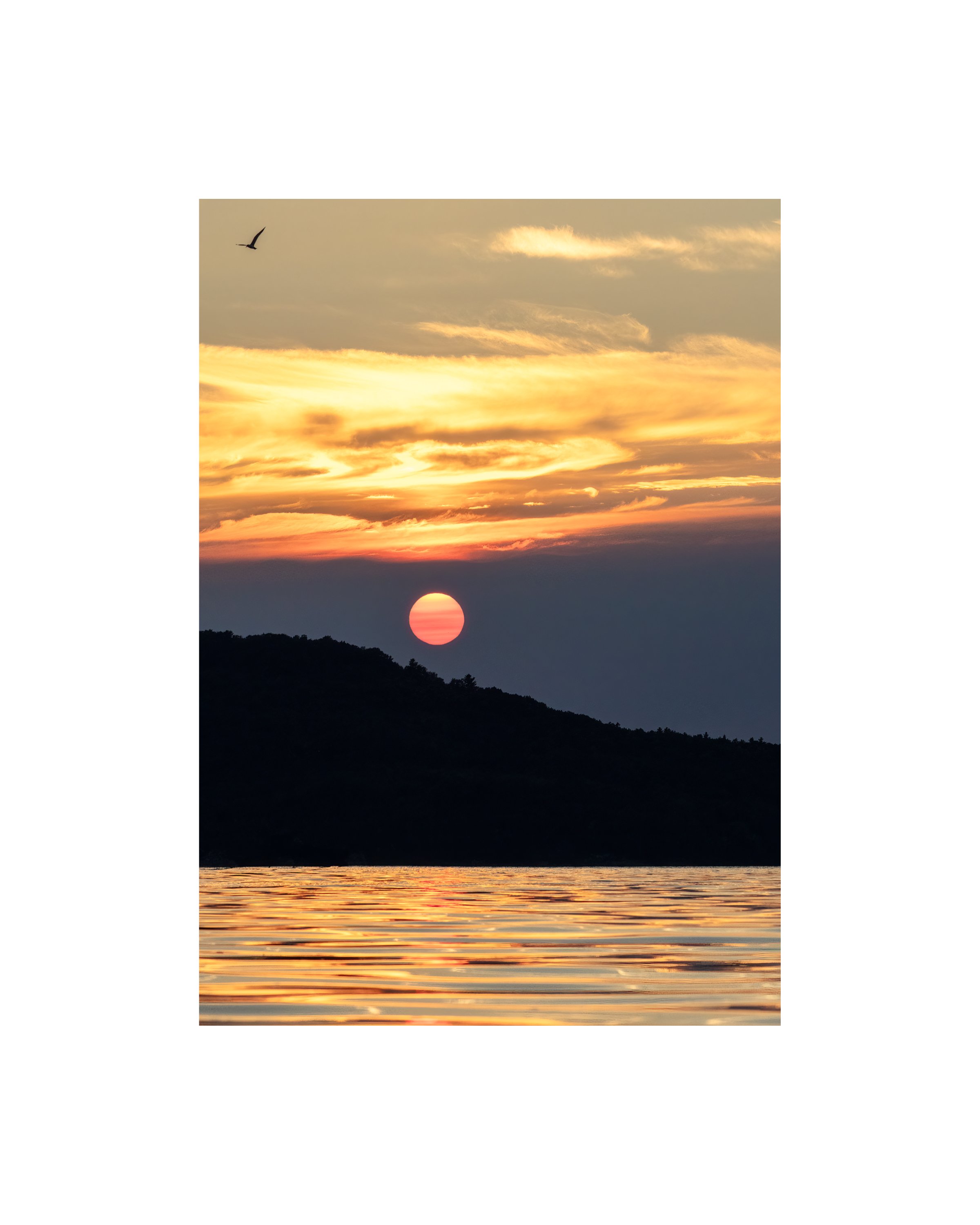 IMGC9843 10x8 1.625 CAT.jpg