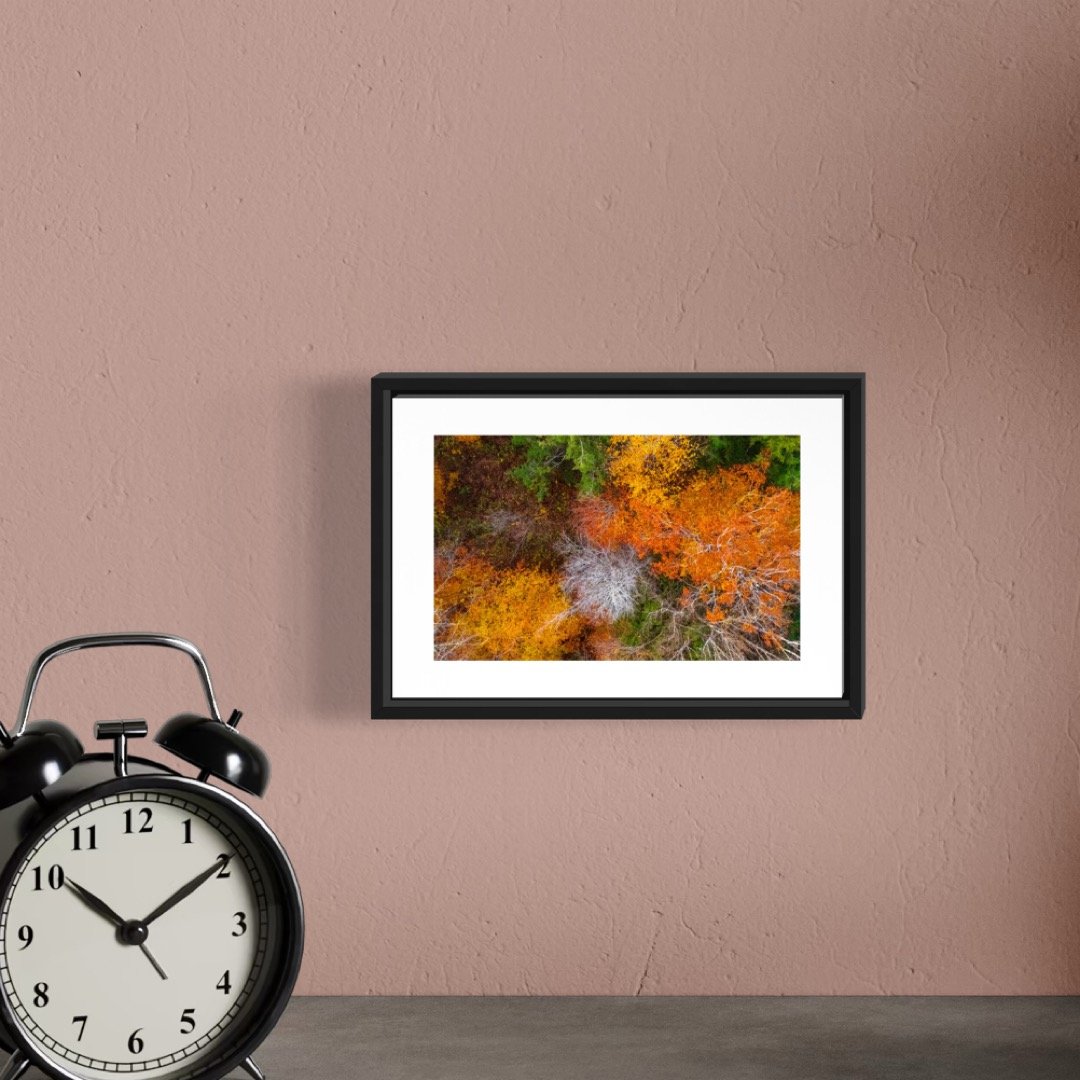 DJI241021_11 4X6 0.5 0.56 FRAME.JPG