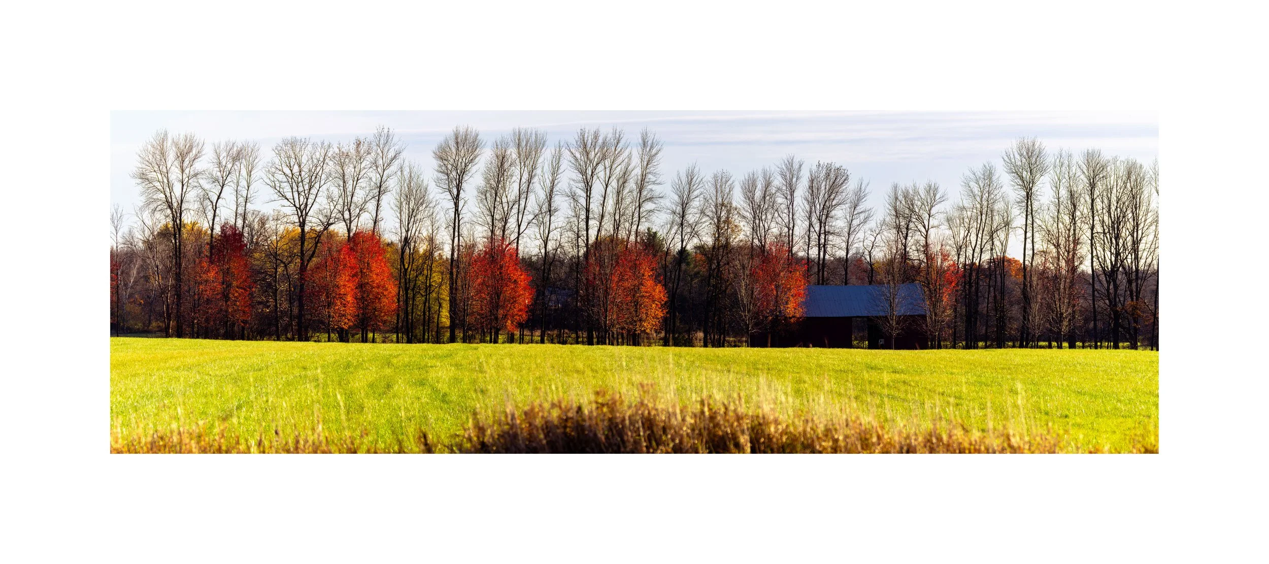 IMGD0736 16X36 3.125 CAT-L.jpg