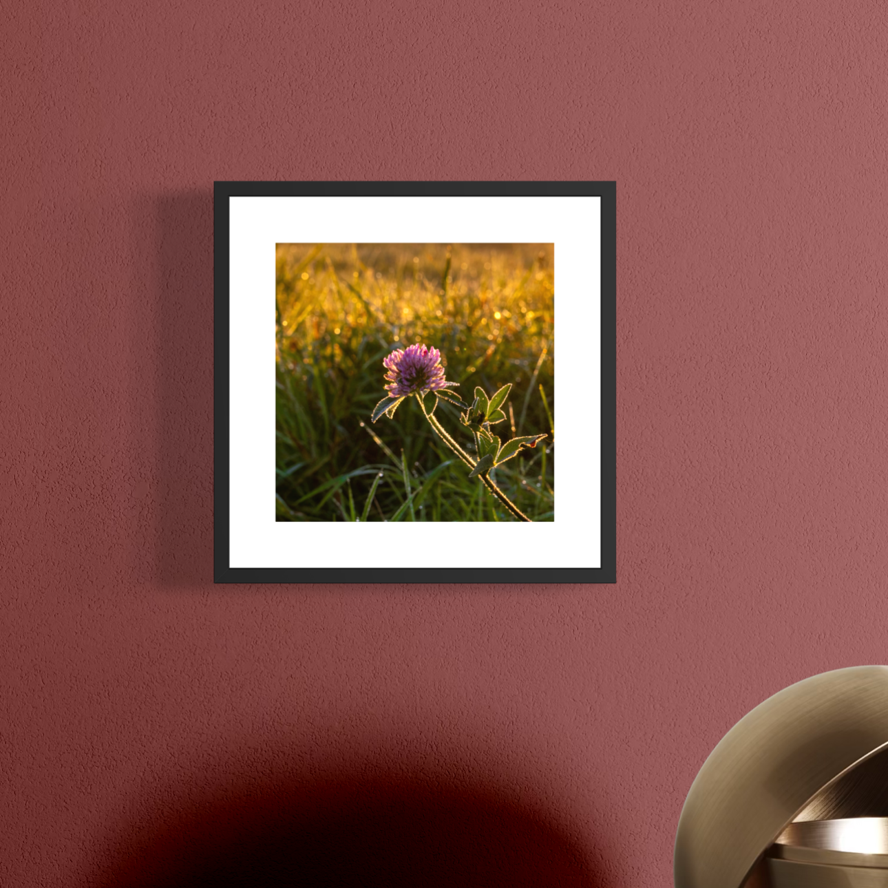 IMGA5701 5x5 .625 FRAME.PNG