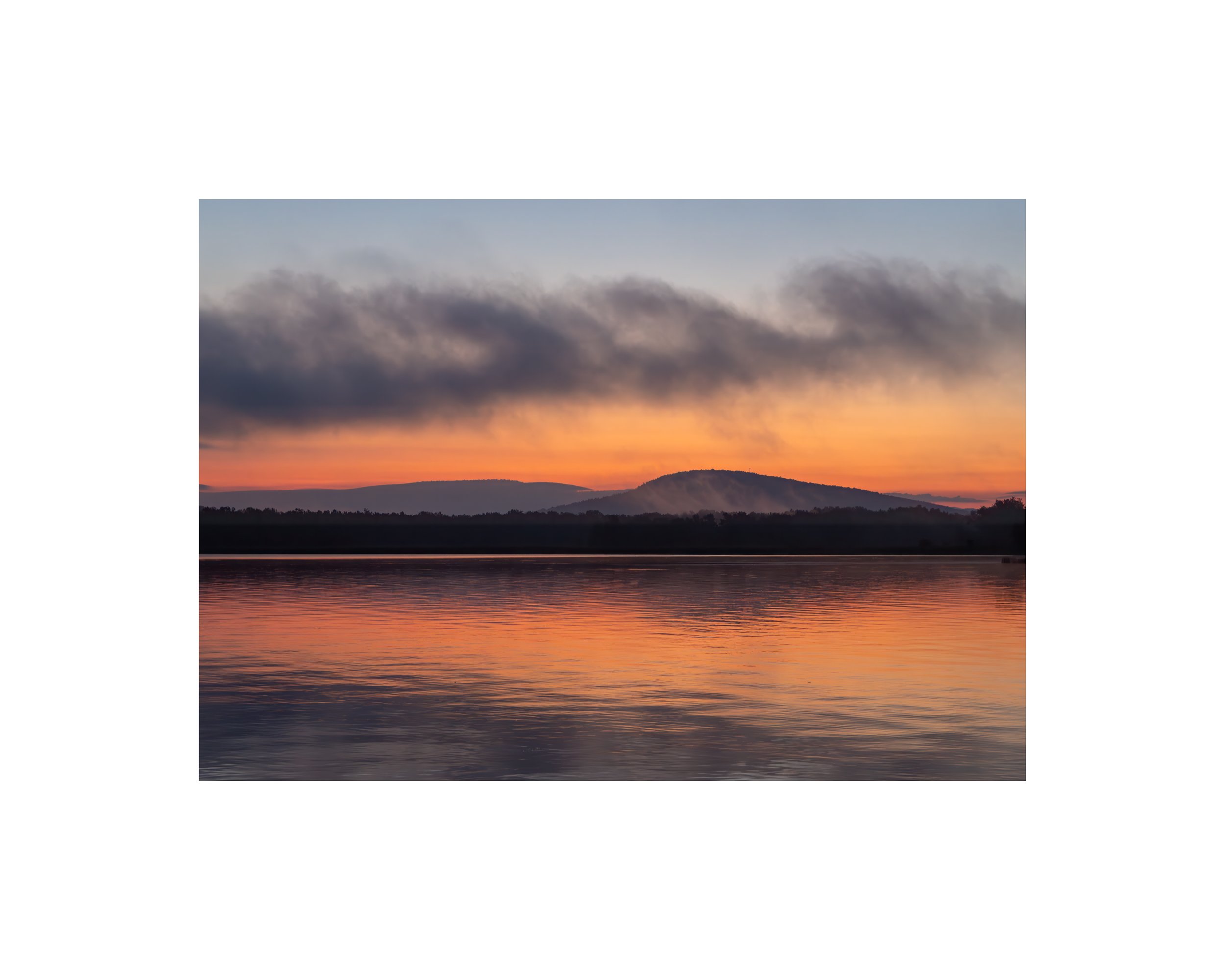 IMGB2719 8x10 1.625 CAT.jpg