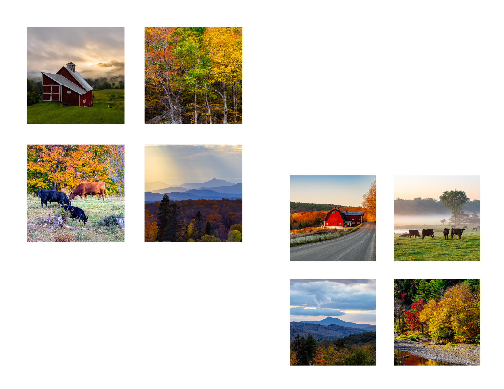 VERMONT MIX ICON.png