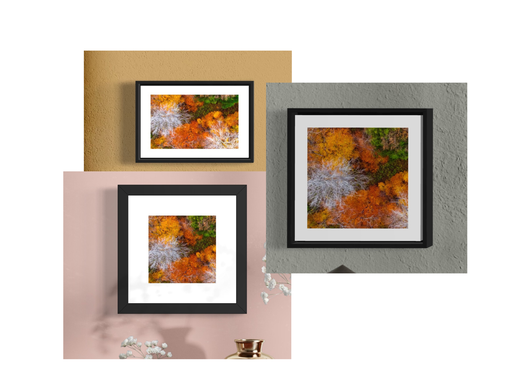 DJI241021_10 MINIS.png