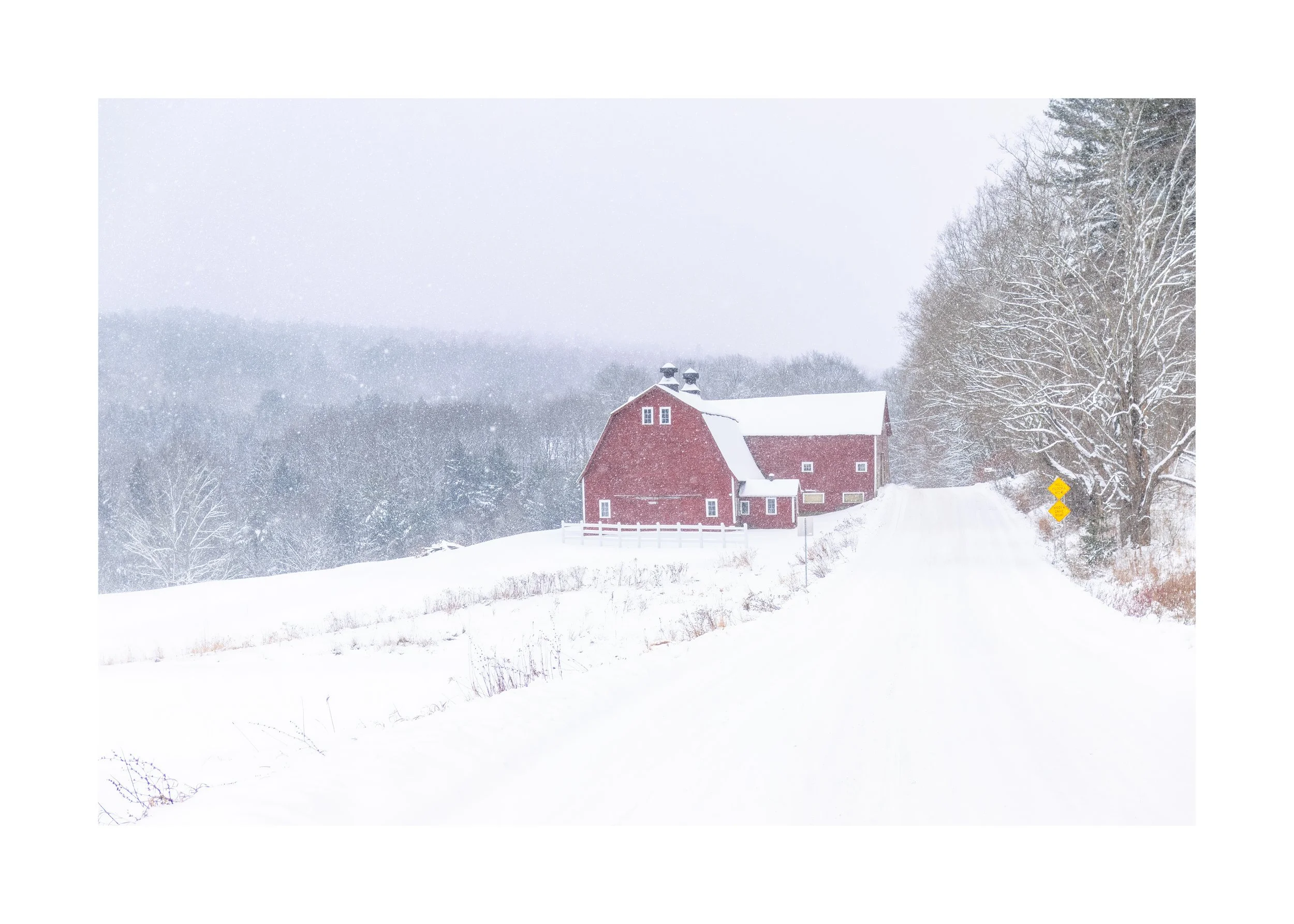 IMGG6778 20X28 2.125 CAT-L.jpg